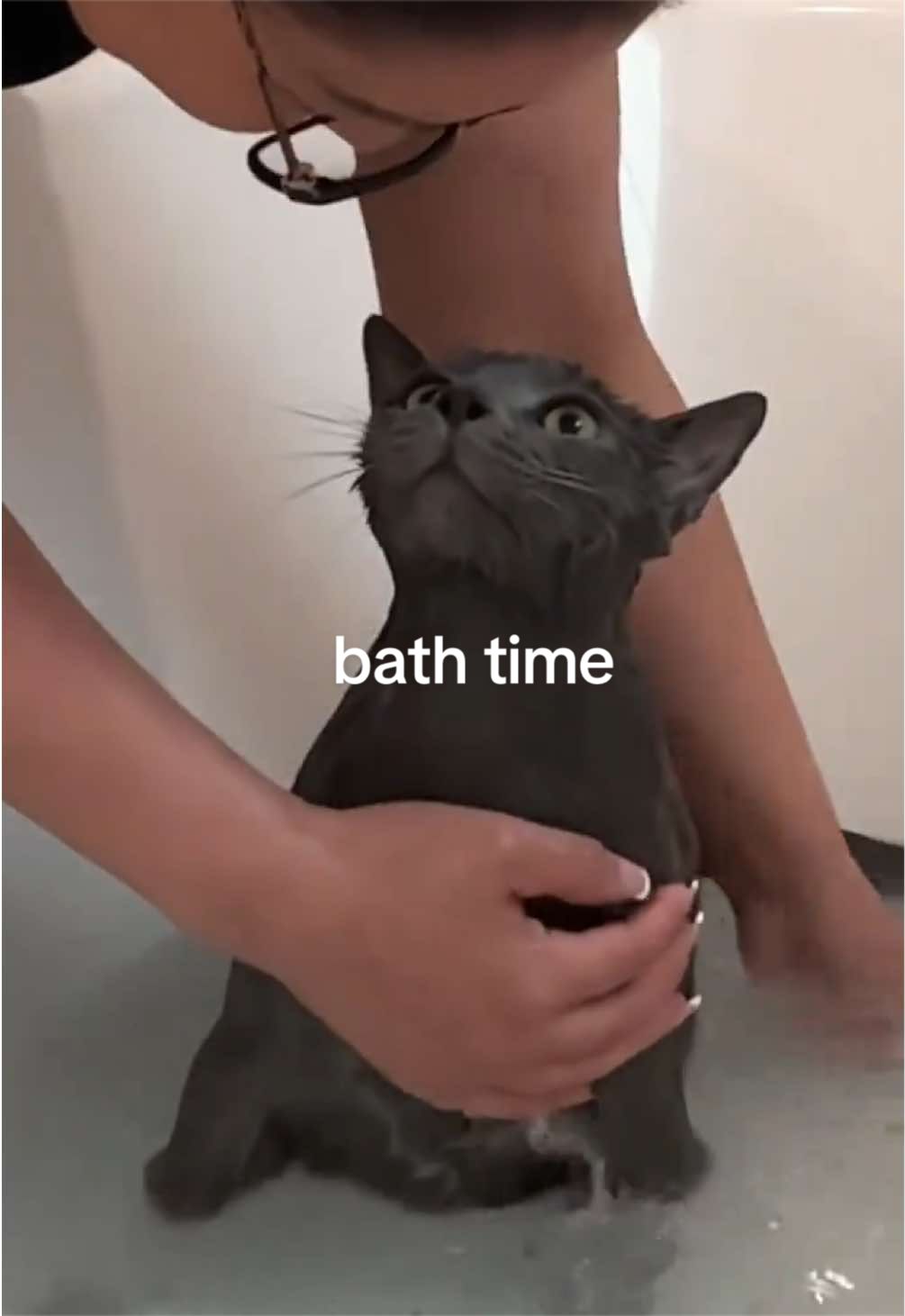 @REYNA