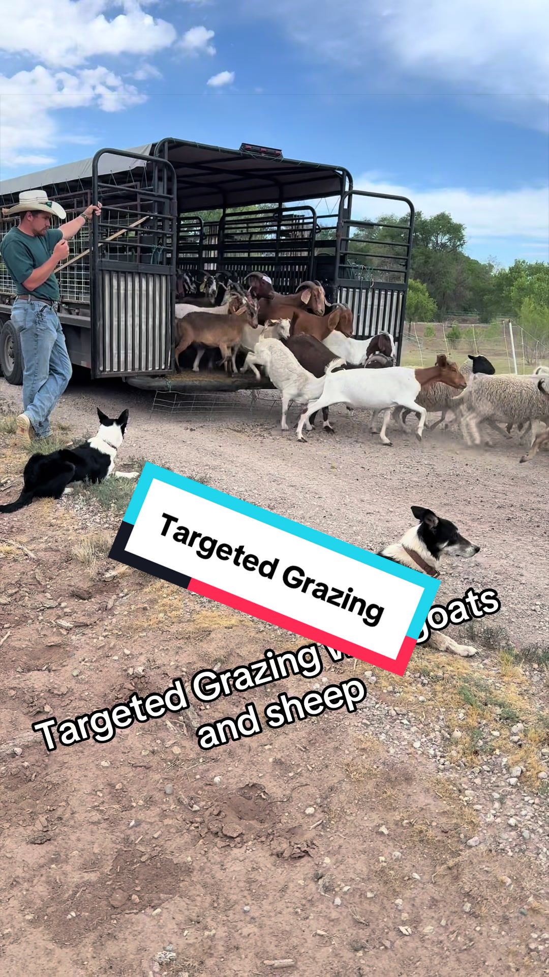 @cowboymax