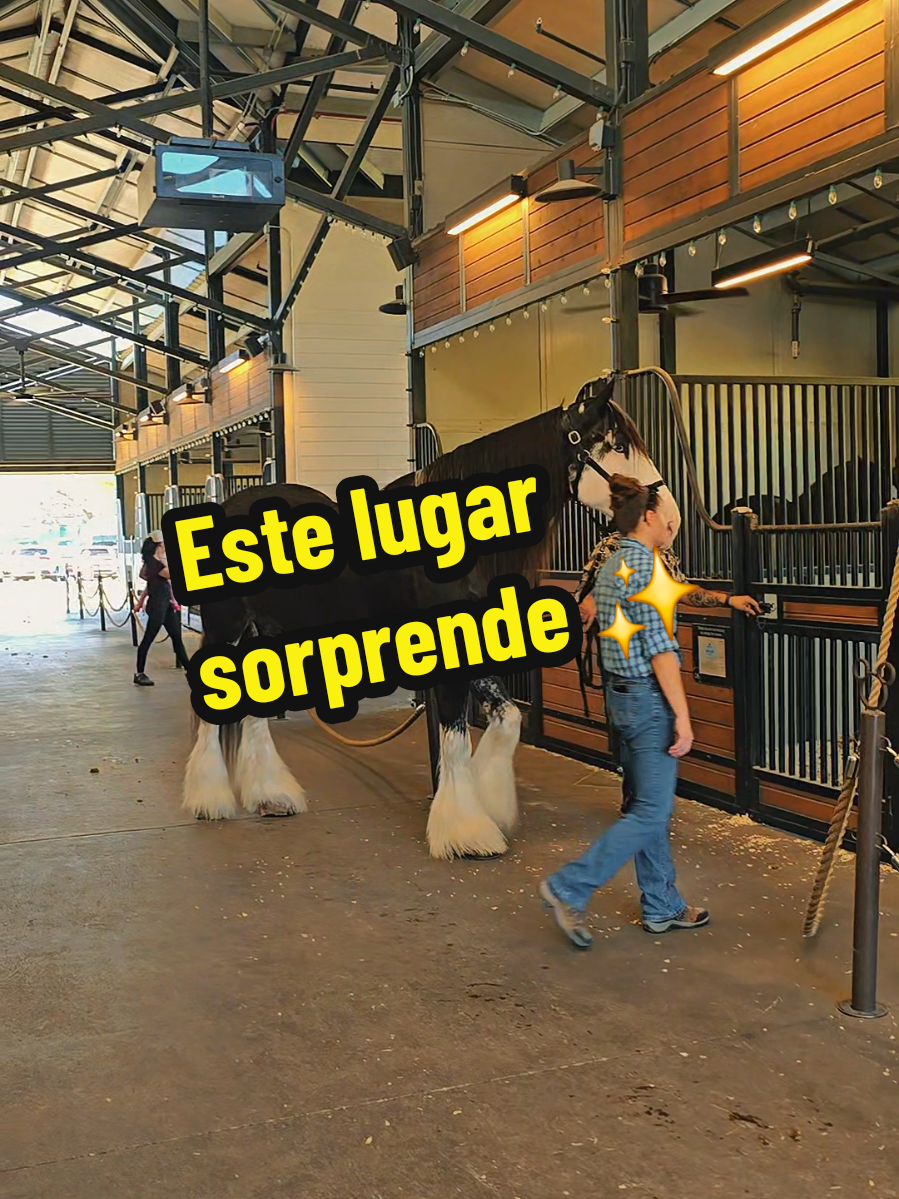 @Destinos de Mam&aacute;