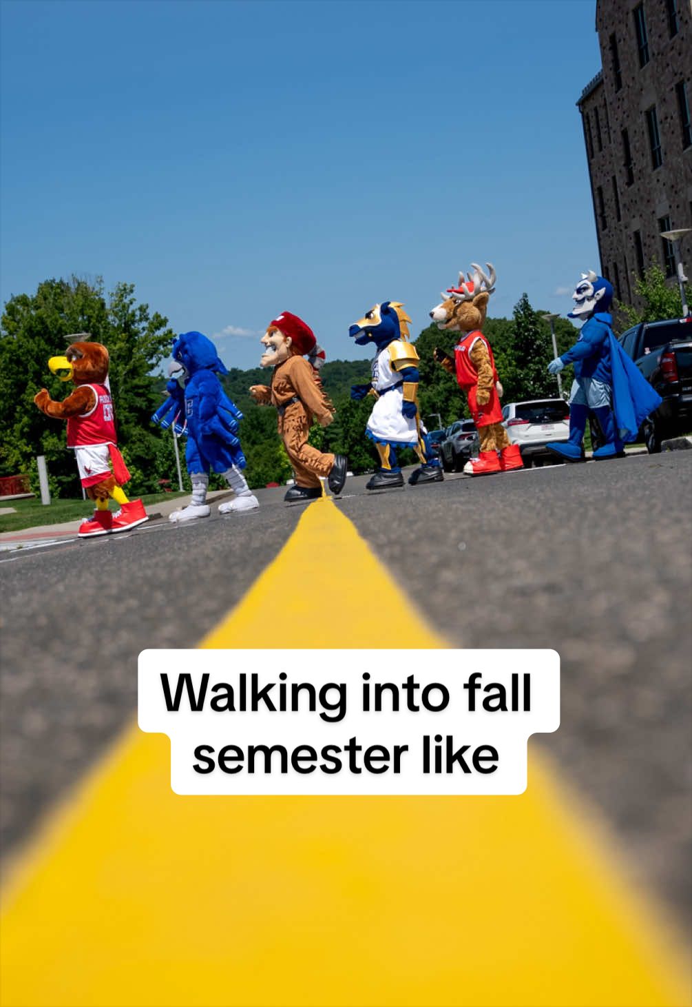@University of New Haven