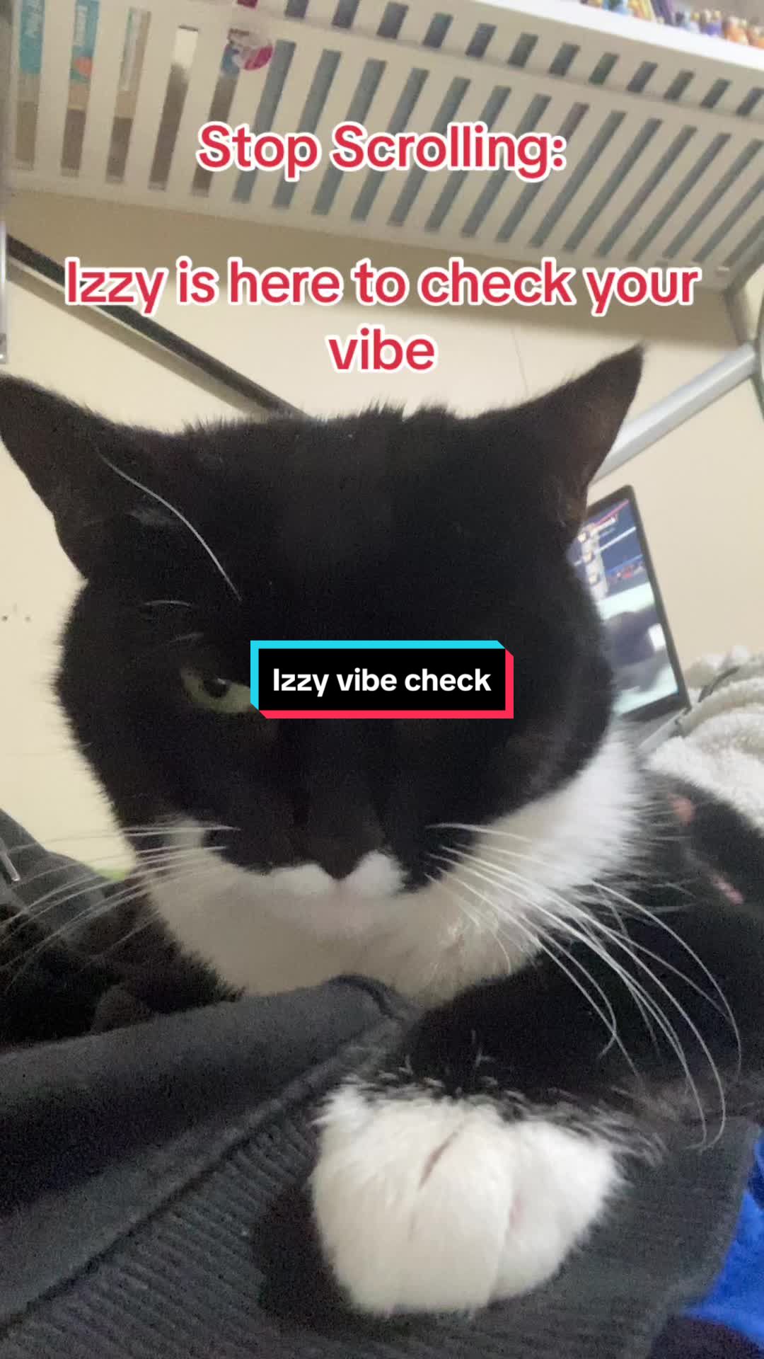 @Sam24