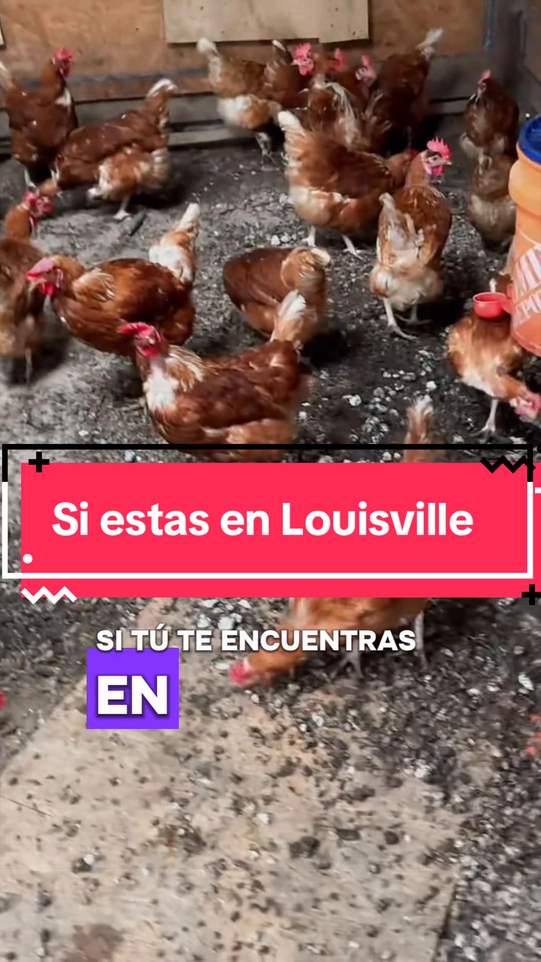 @cubanaporsiempreventas1