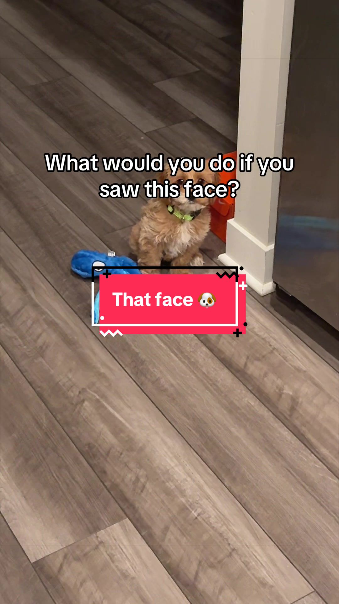@yourfirst_10