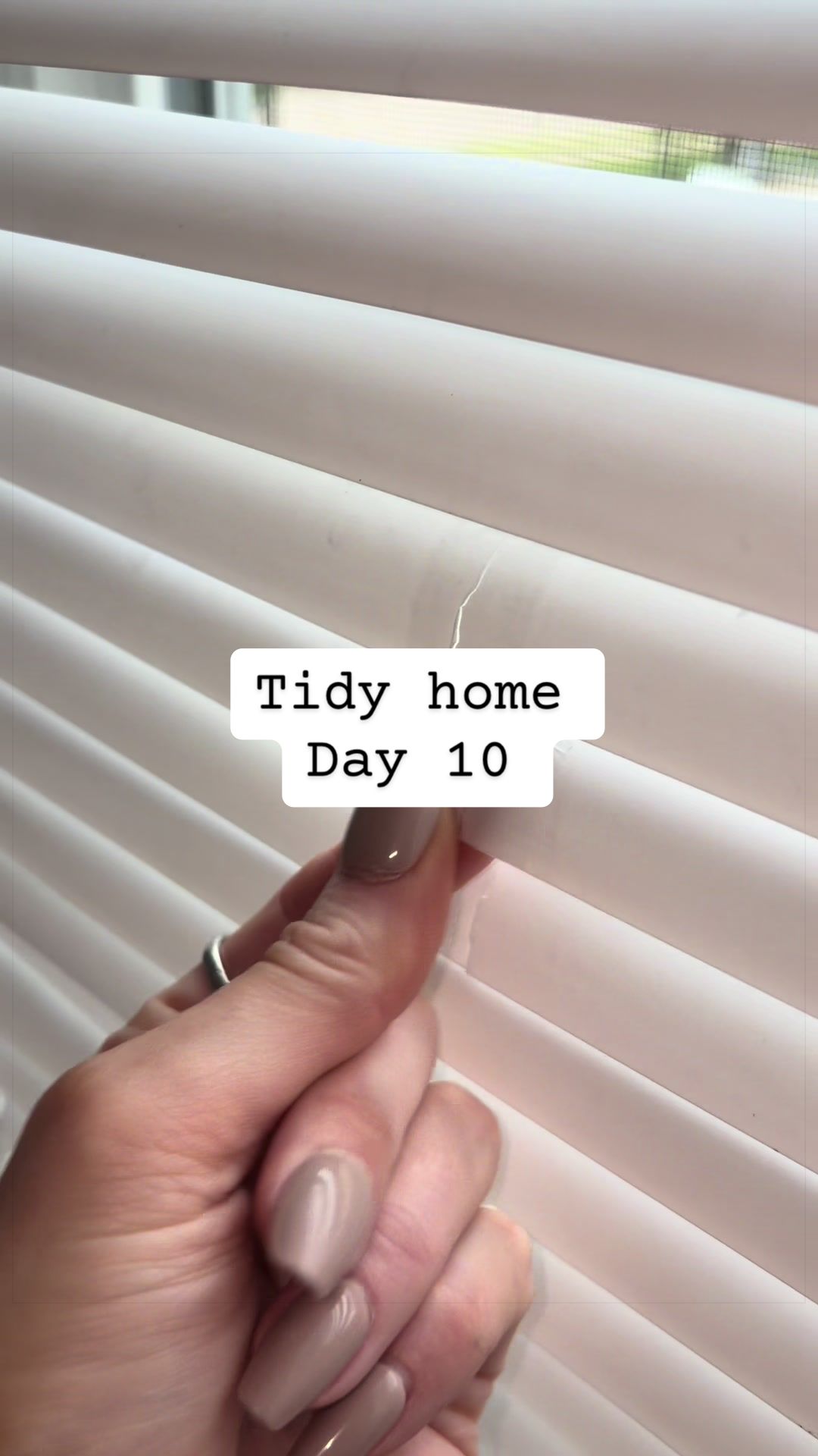 @Tidy_Tabitha