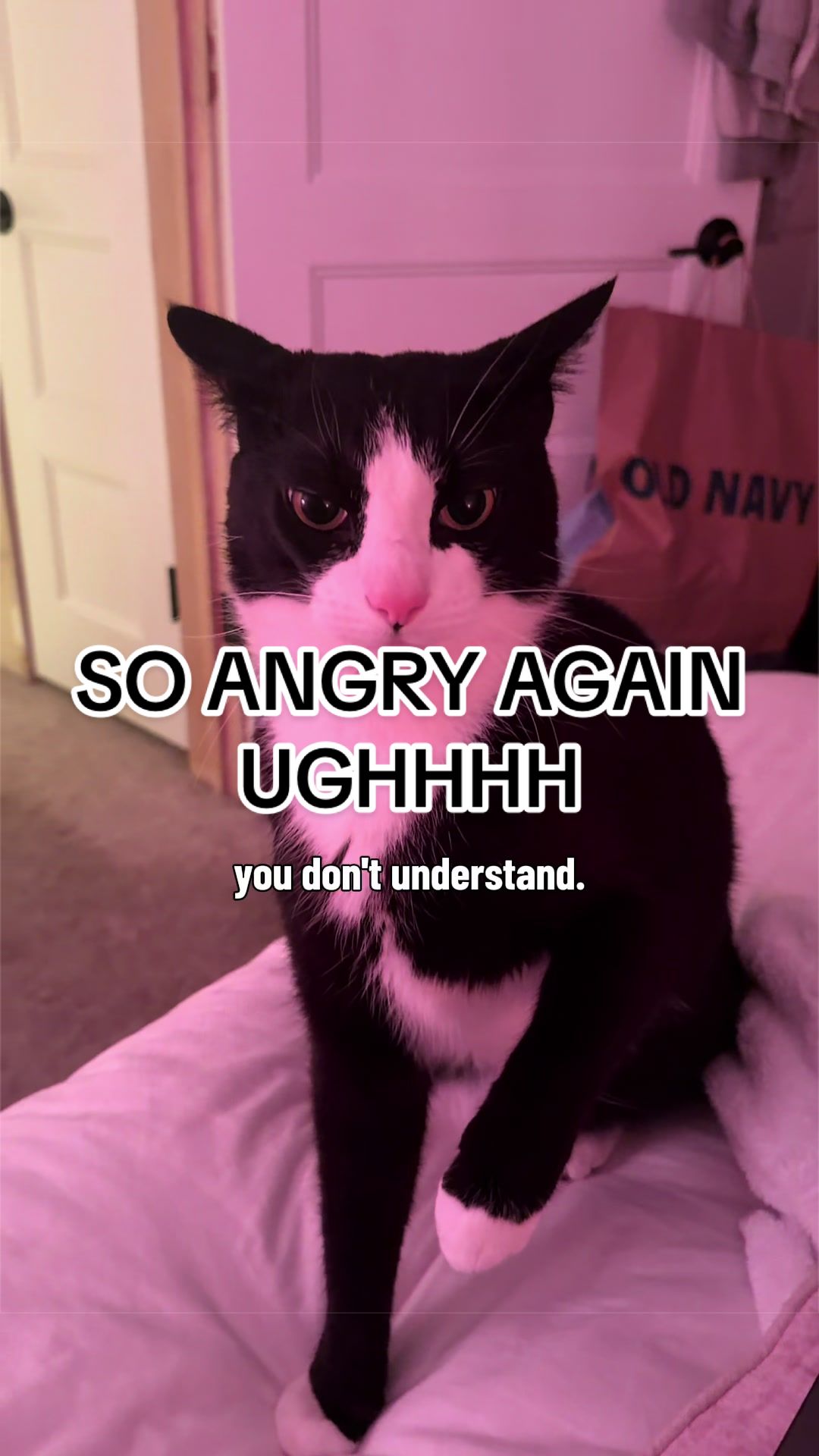 @Lenny Lu