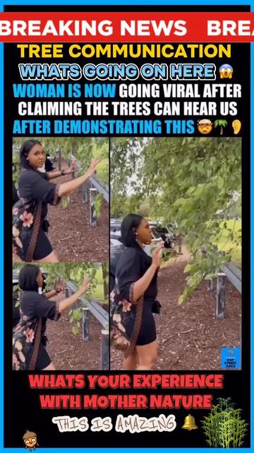 @seeingbeyondtheveil999