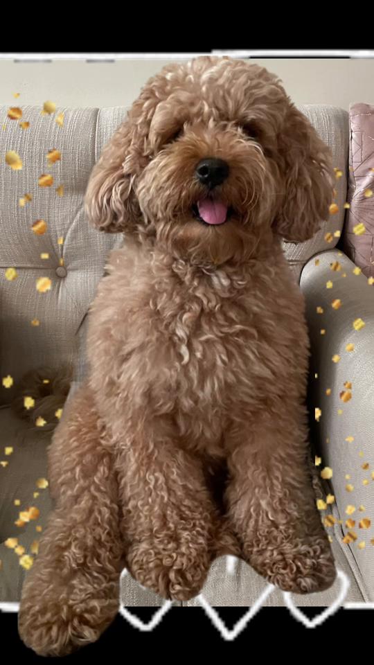 @PattyLove BabyNova 🐾🎀🥰