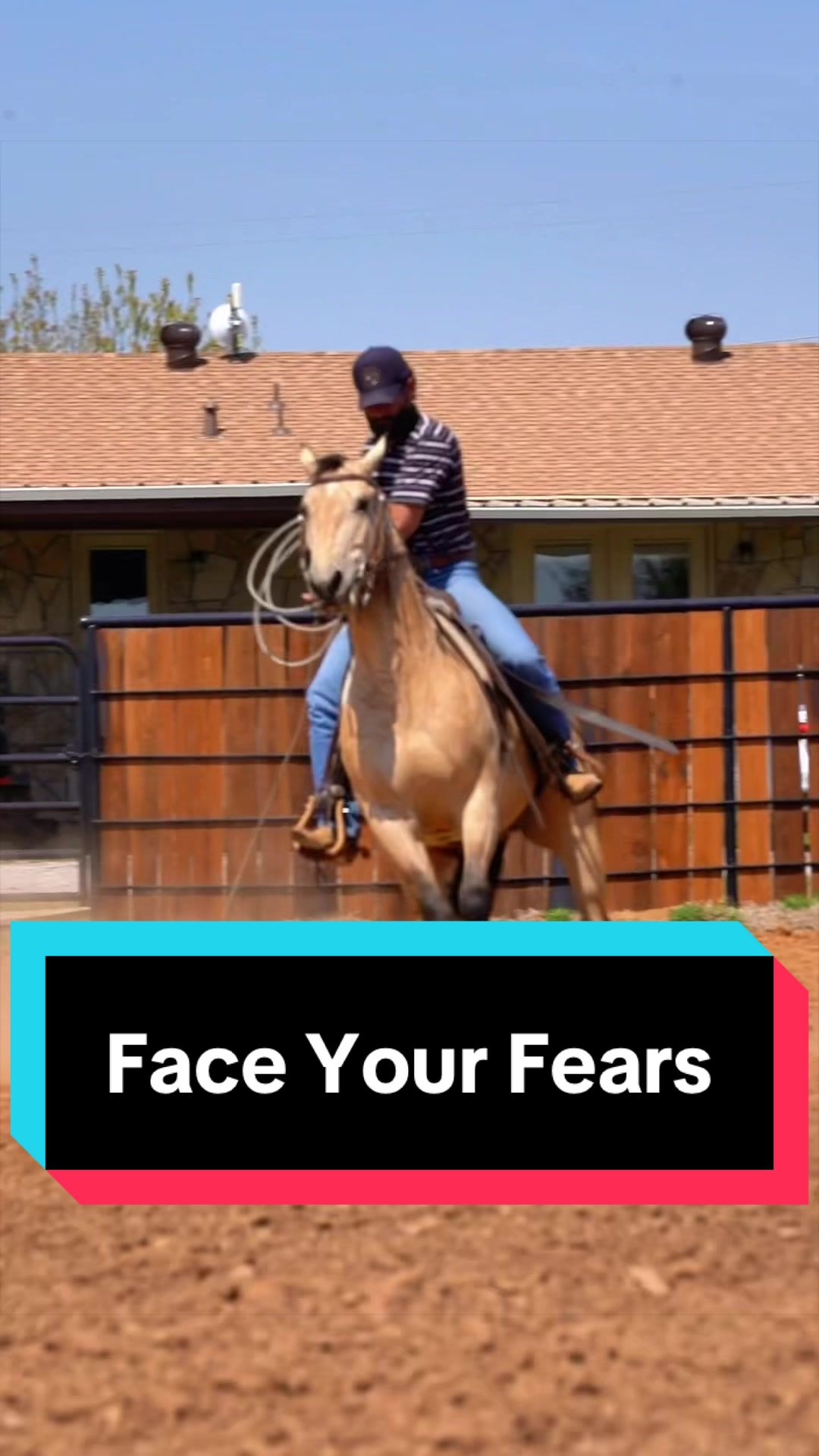 @WS Horses