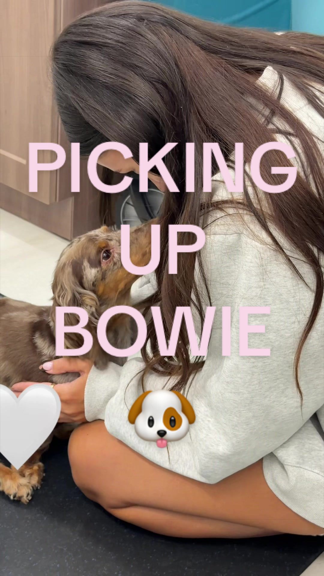 @zoe ferguson ✮⋆˙