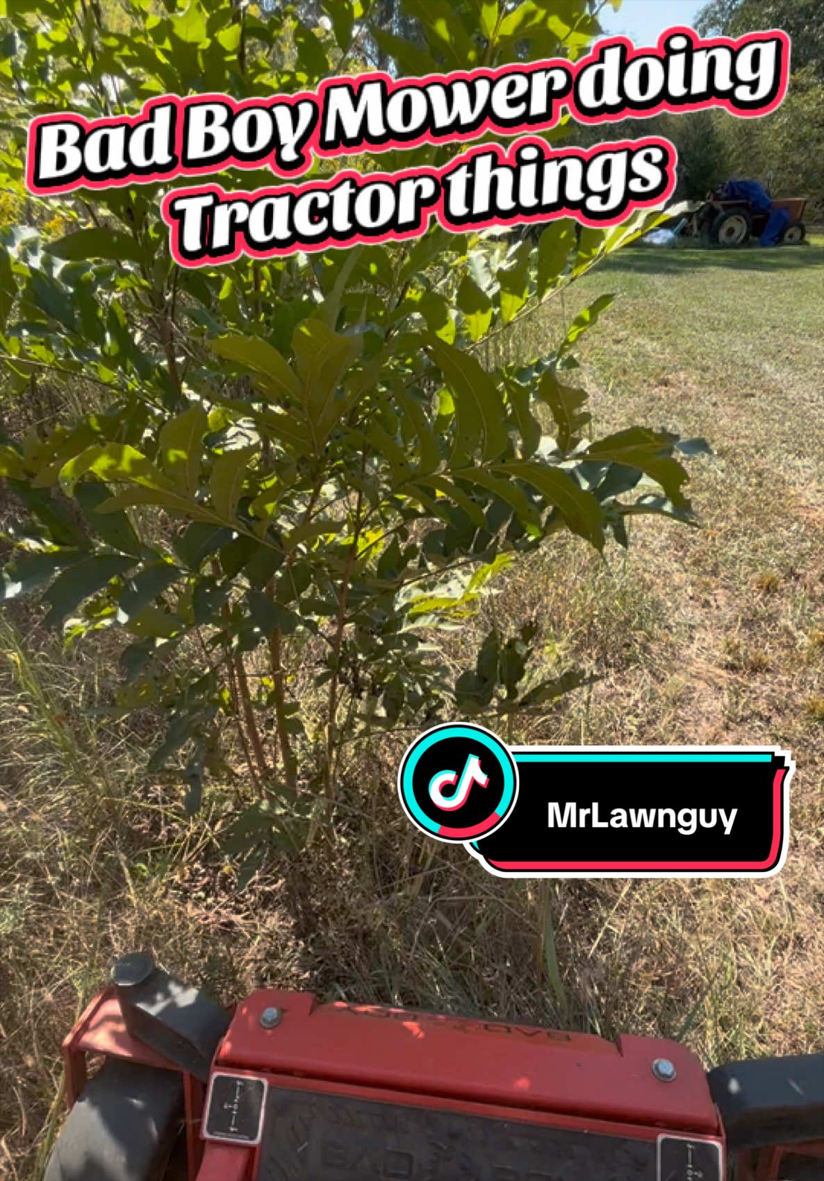 @MrLawnGuy