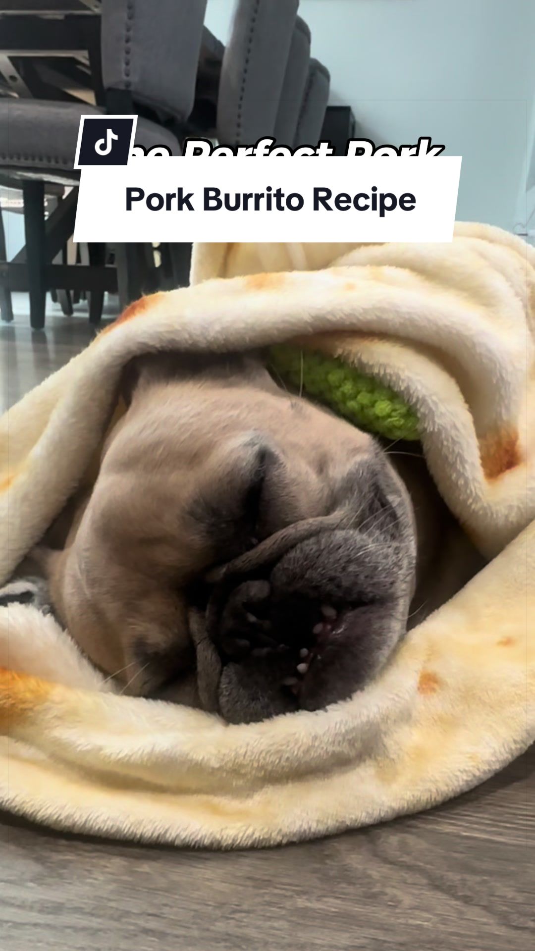@Somefrenchienamedapollo