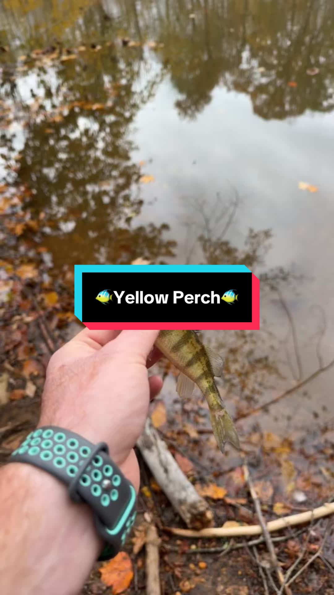 @fb1fishing