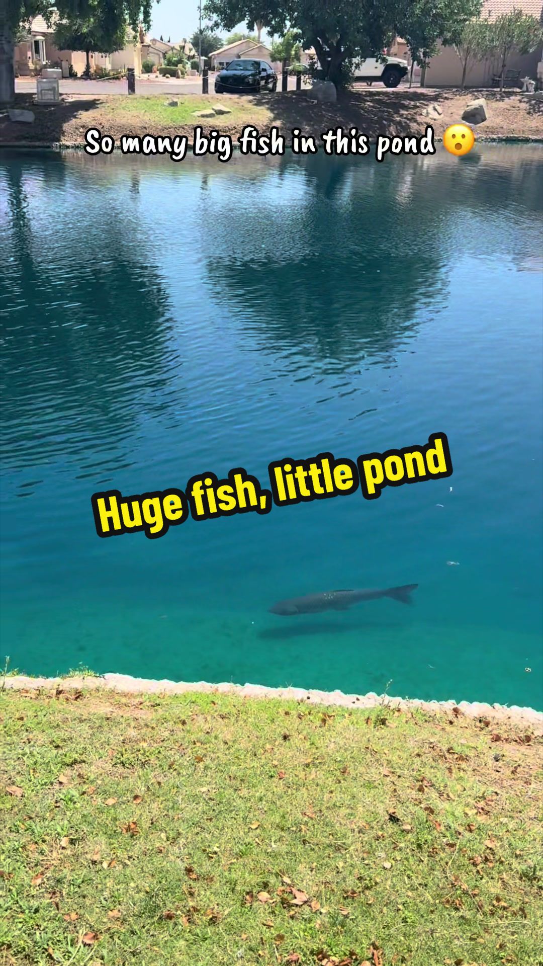 @Luu Nguyen Fishing