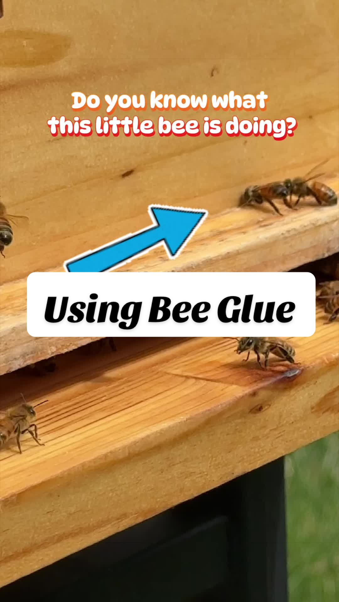 @homewithlogan