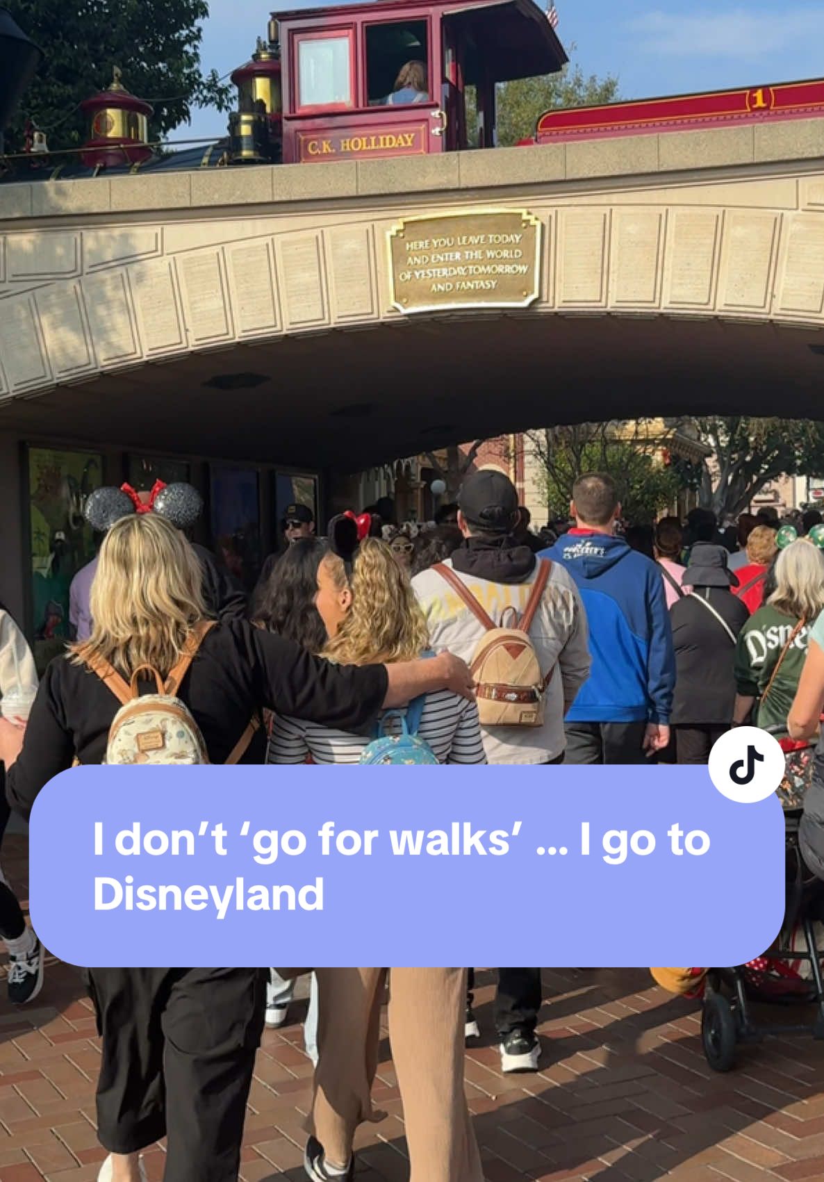 @Antoinette | Cozy Disney FTM
