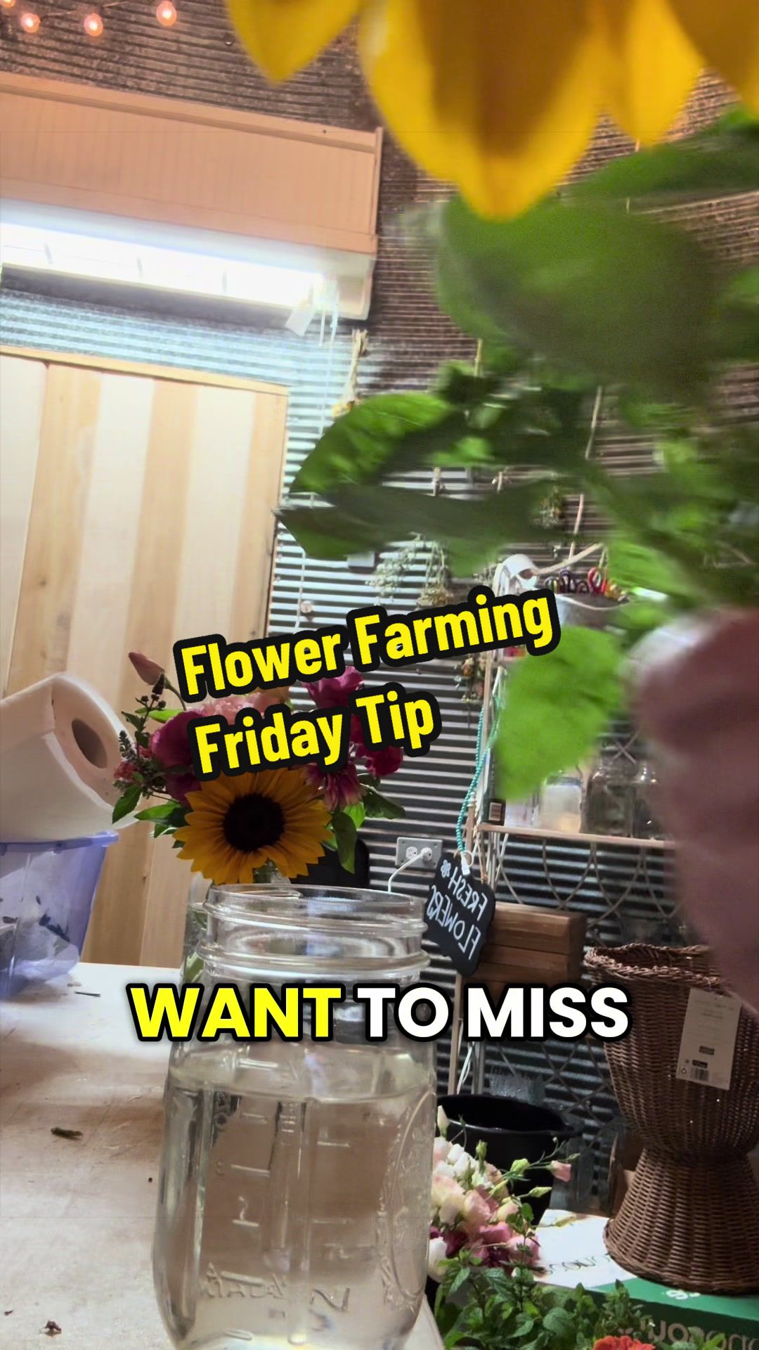@MISSY & Her Farmer