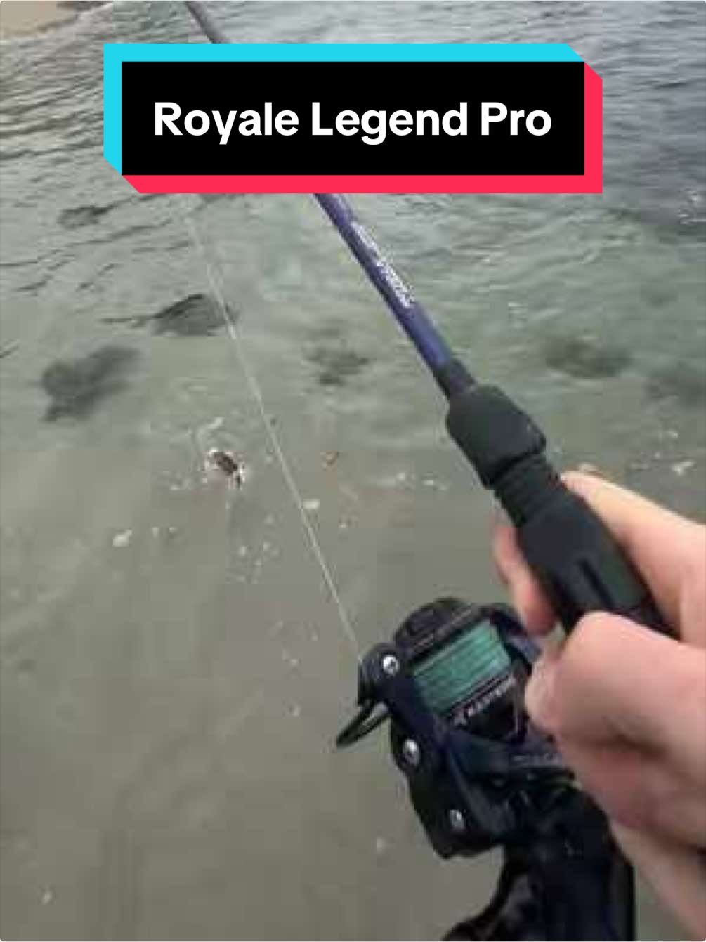 @KastKingUSA