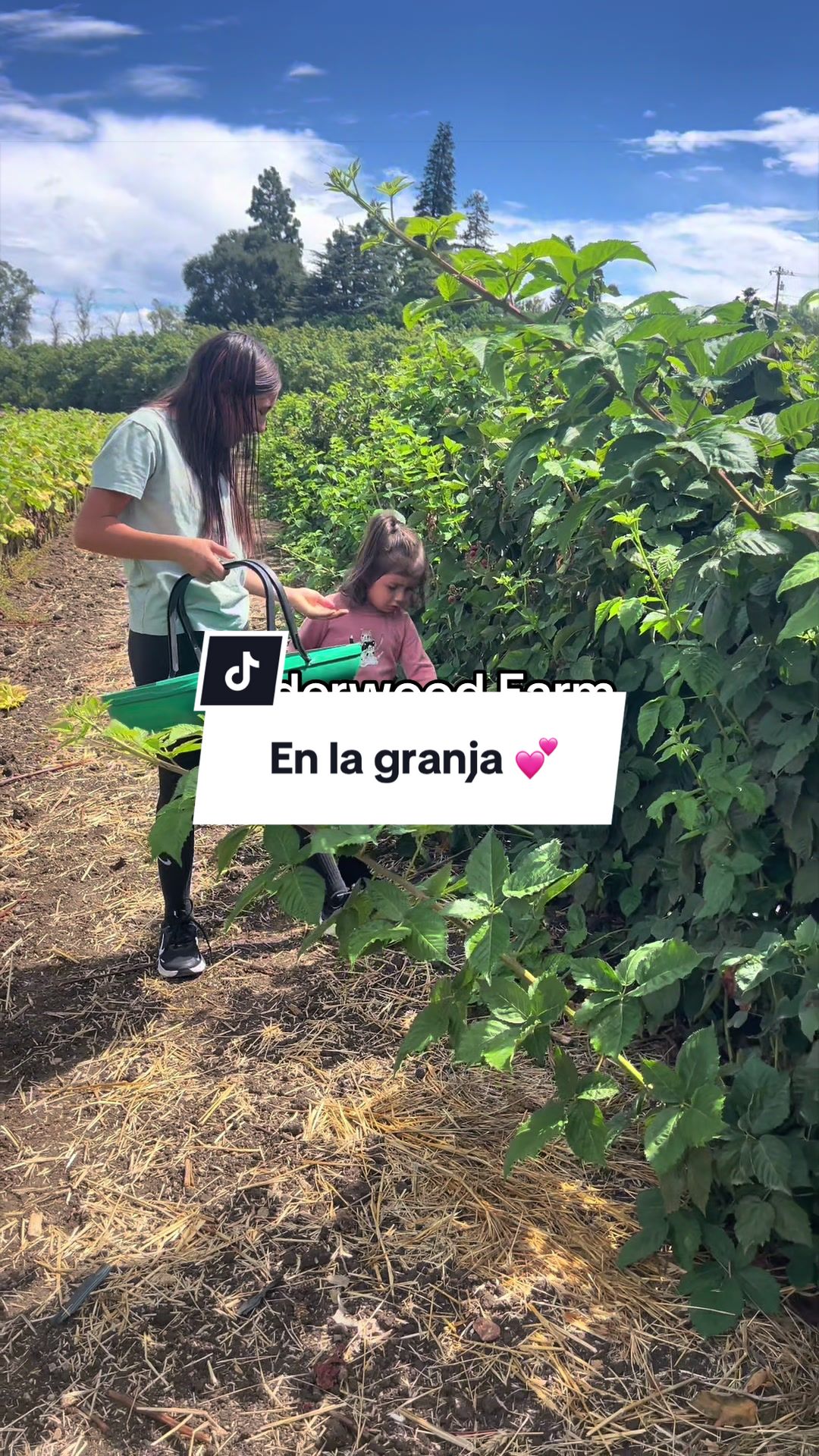 @Amarillys