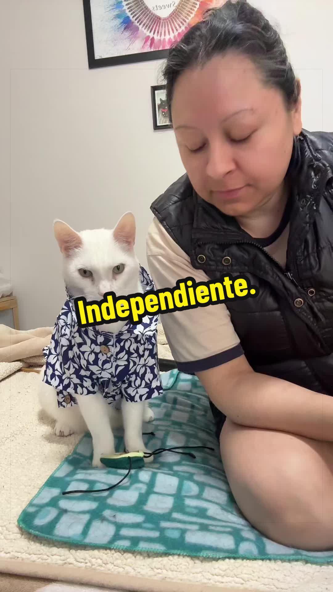 @🦖 MEOWassic CAT😺