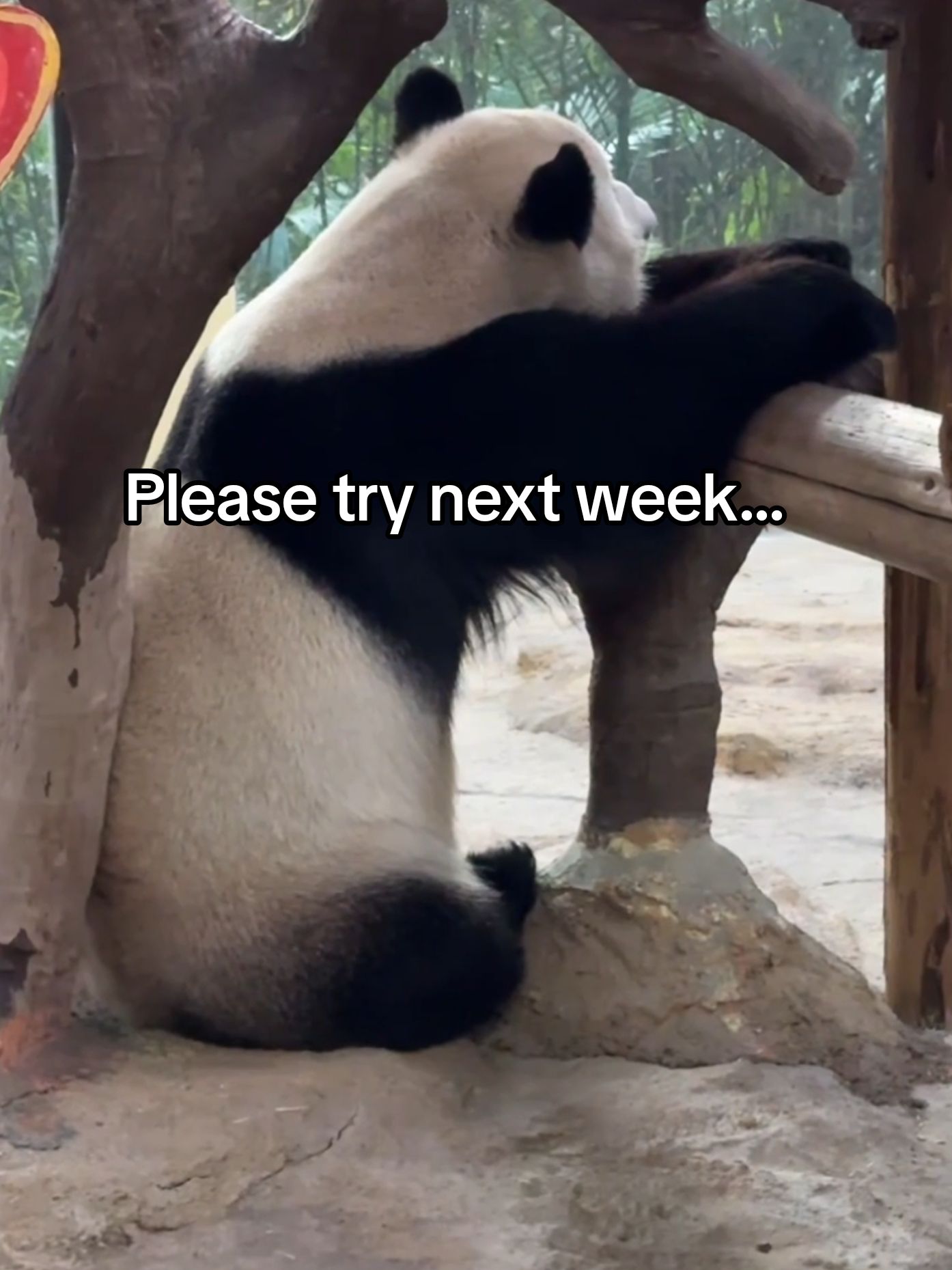@PandaHut