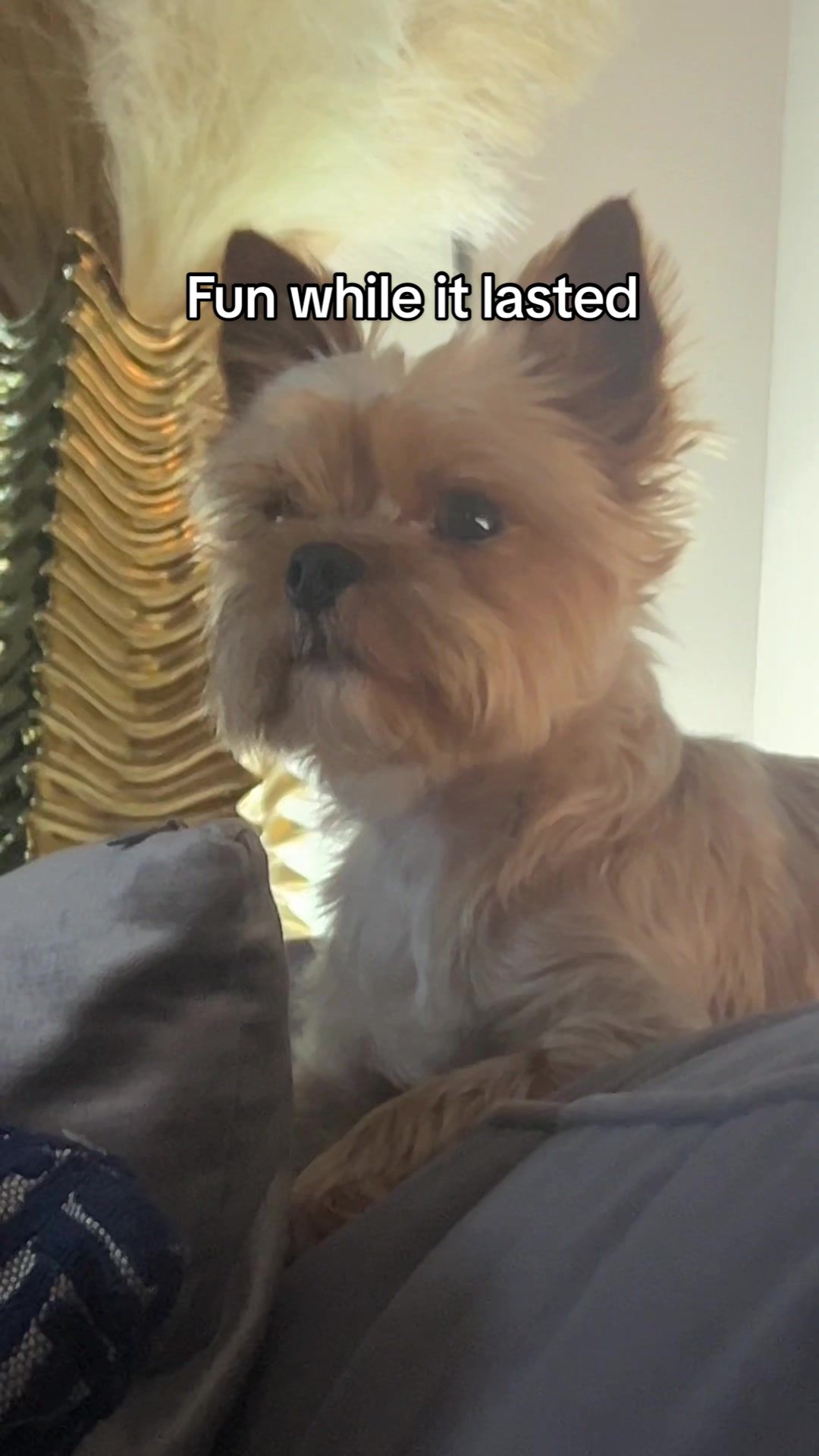 @Theonardodicaprioo