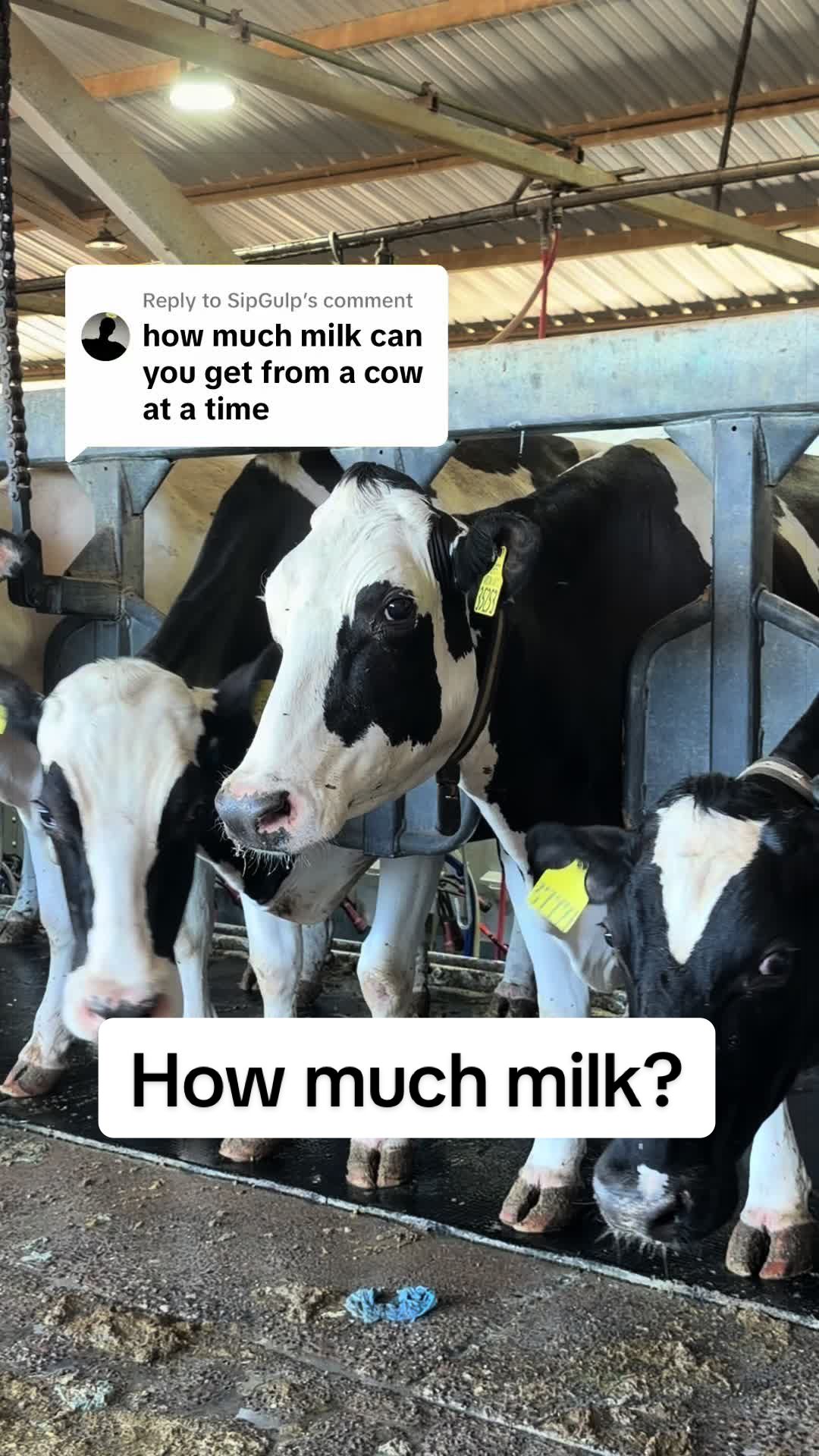 @Dairy Vet Dr. Michelle