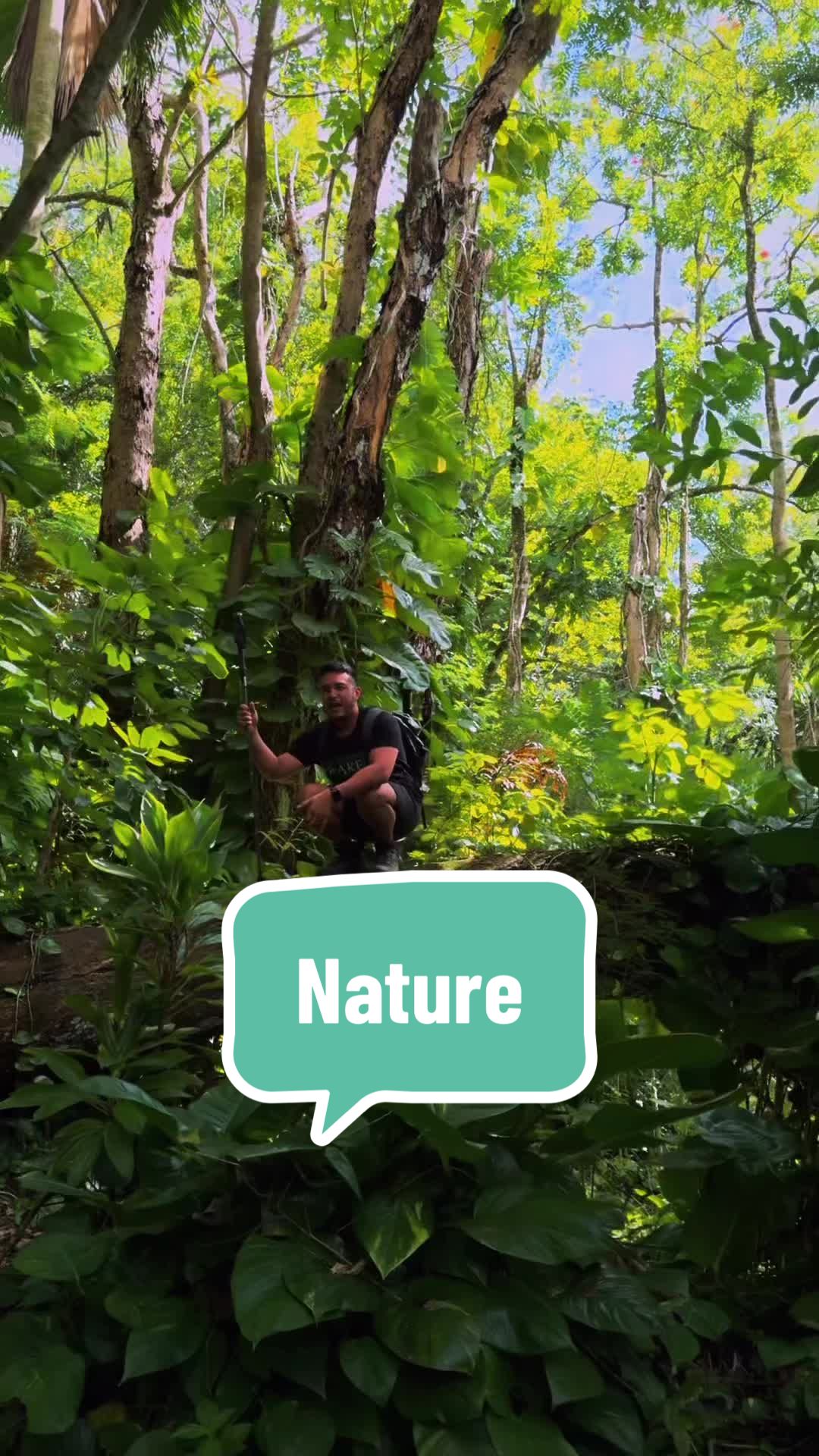 @Hawaii tiktok