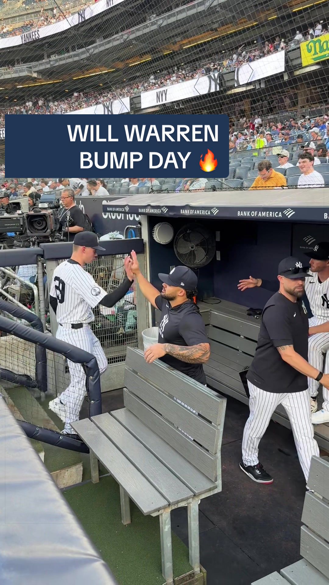 @Yankees