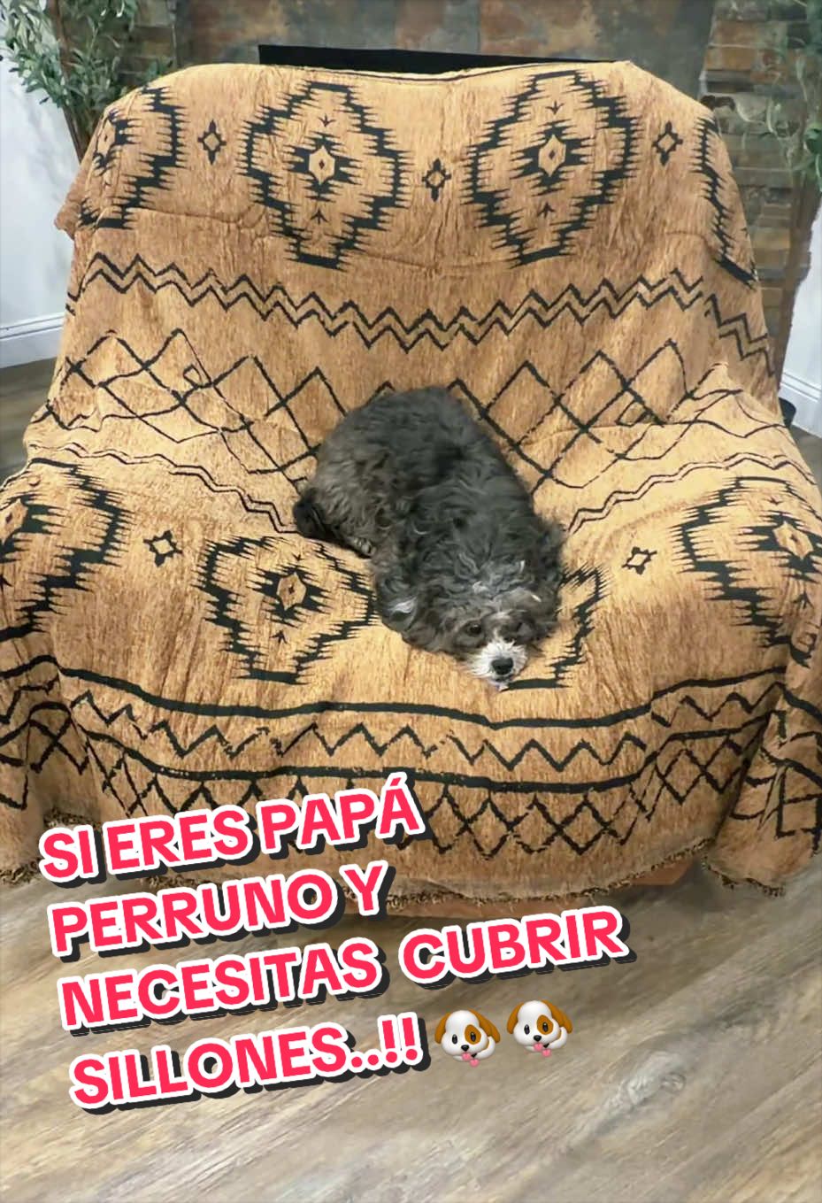 @Laclau