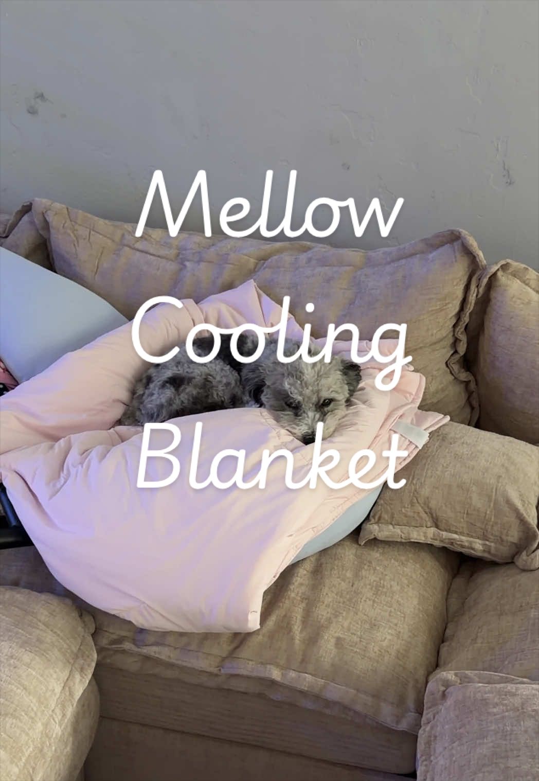 @The Carrs