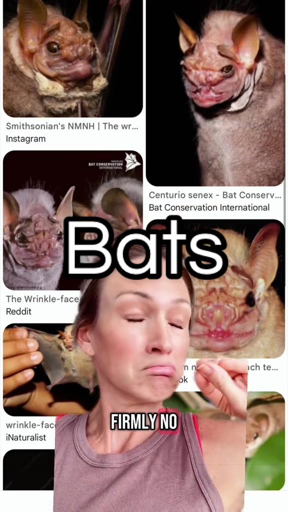 @SarahMakesMeLaugh