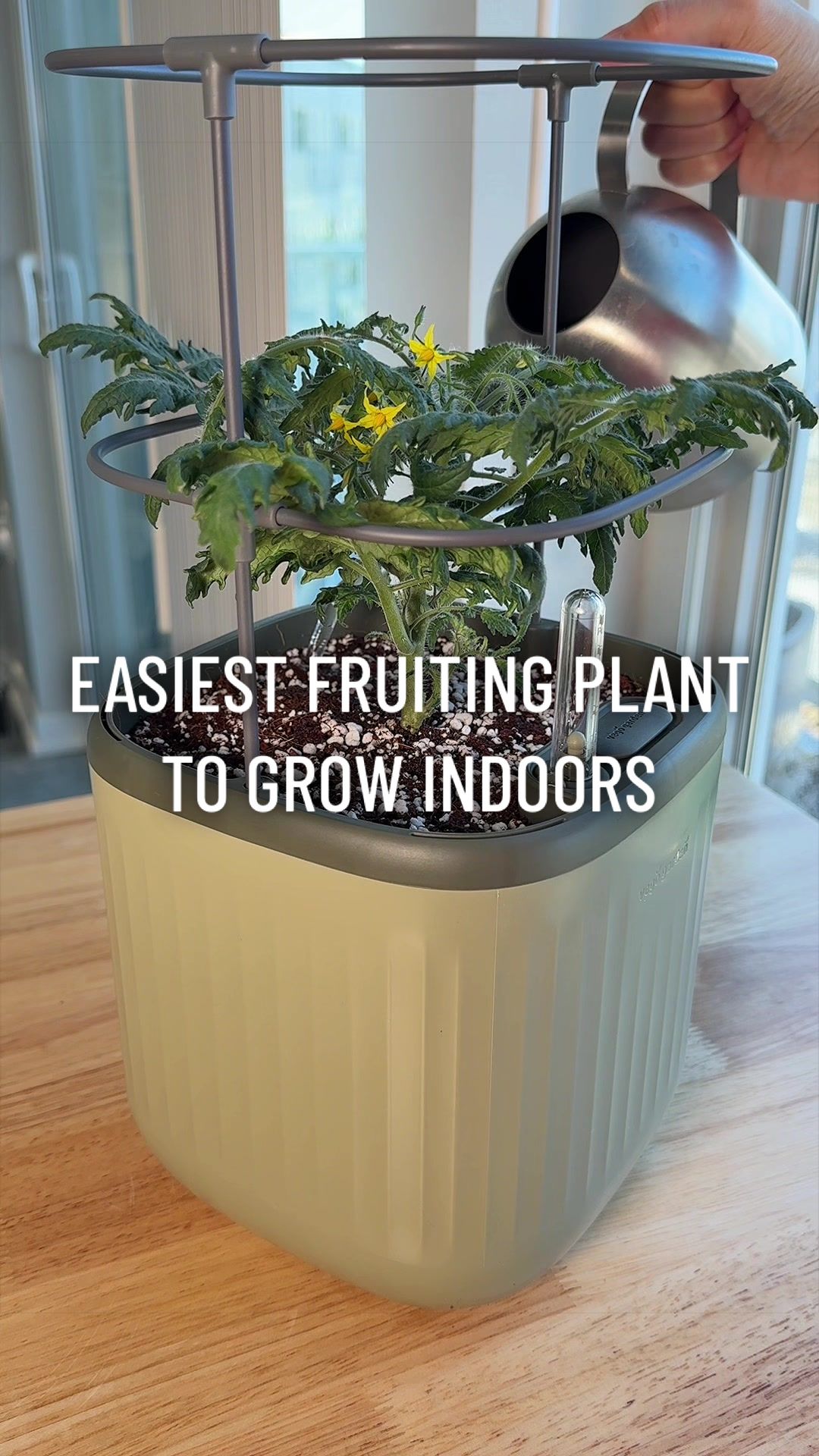 @gardeningindoors