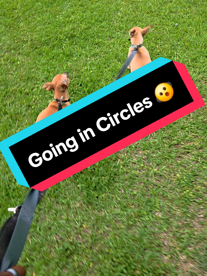 @WhitneyEclectic