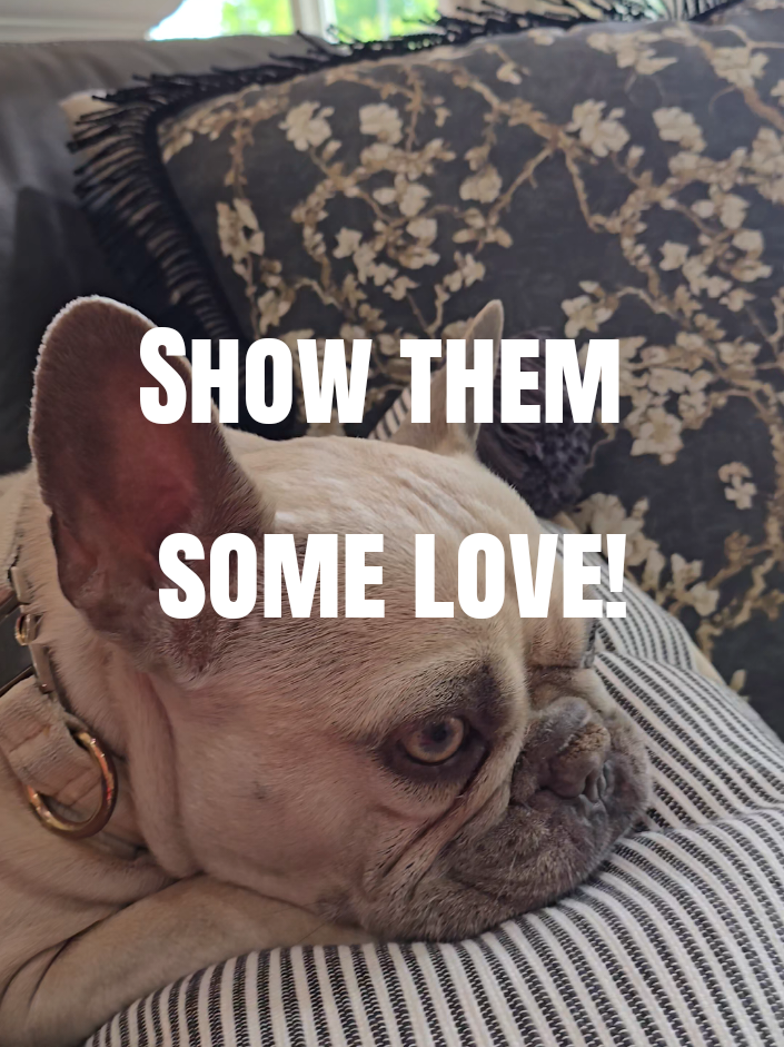 @Katherine Turner Home Stylist
