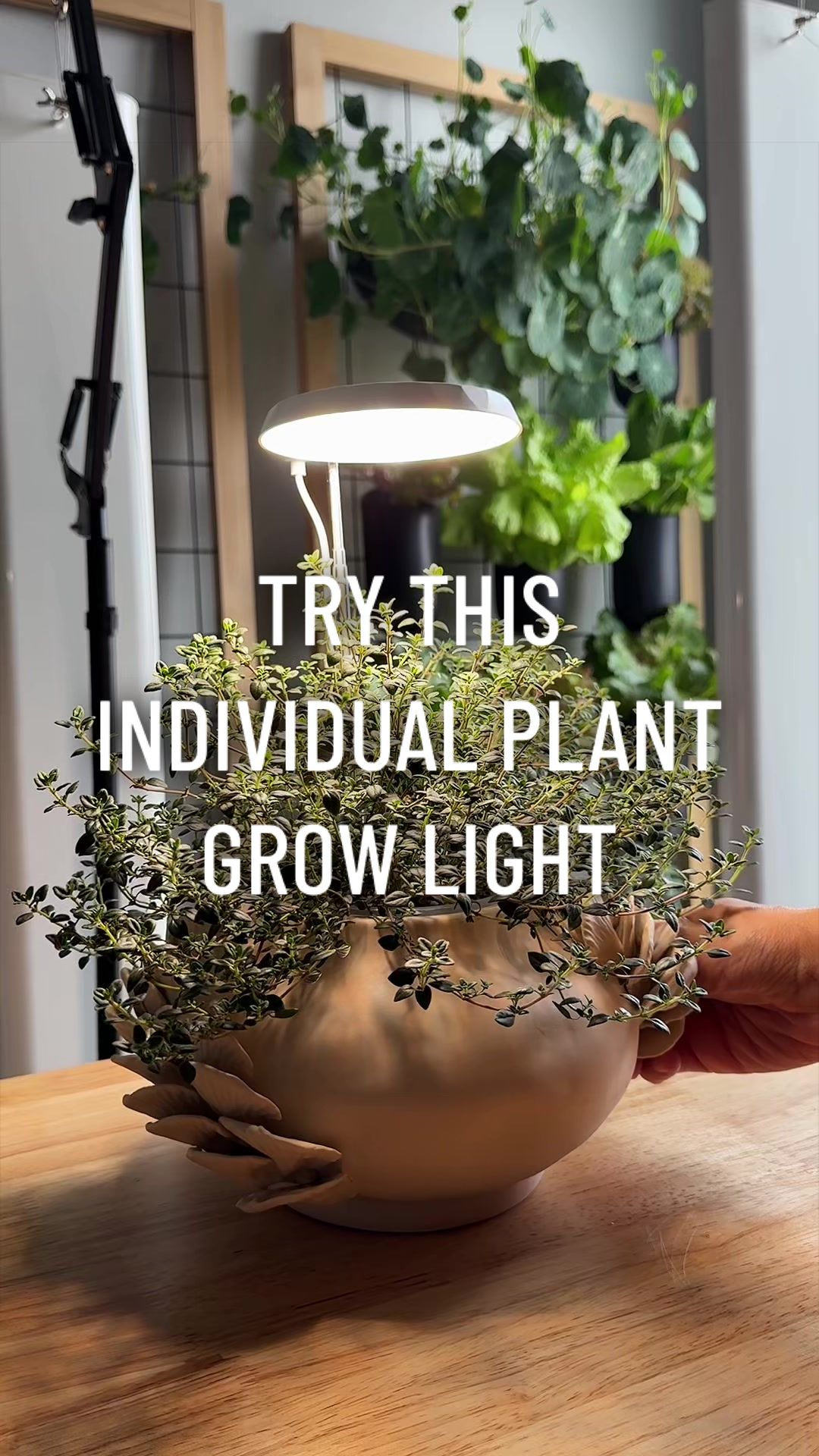 @gardeningindoors