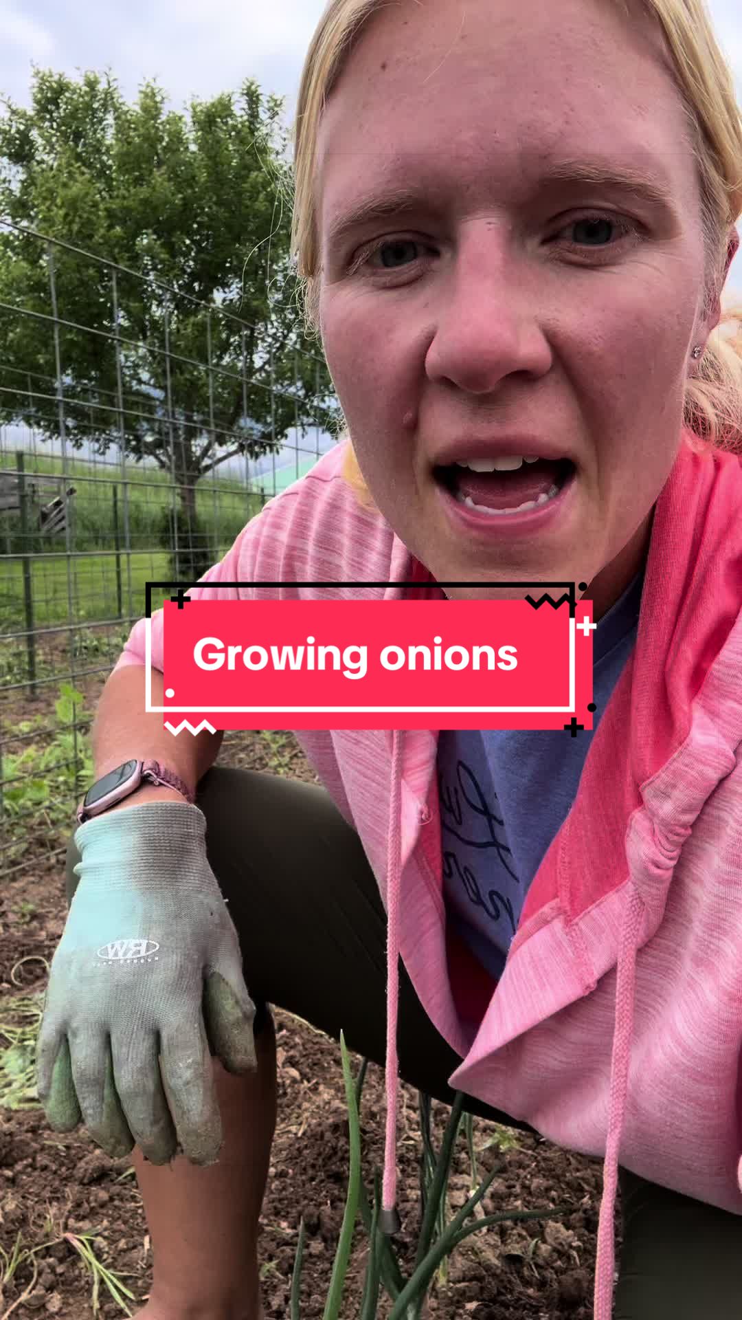 @littlesandycreekfarm