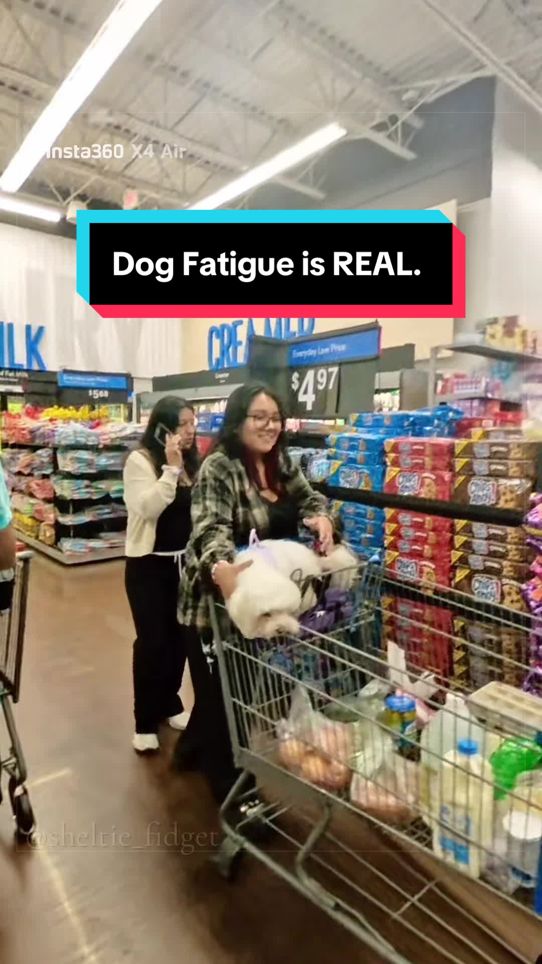 @Dakota & Pups