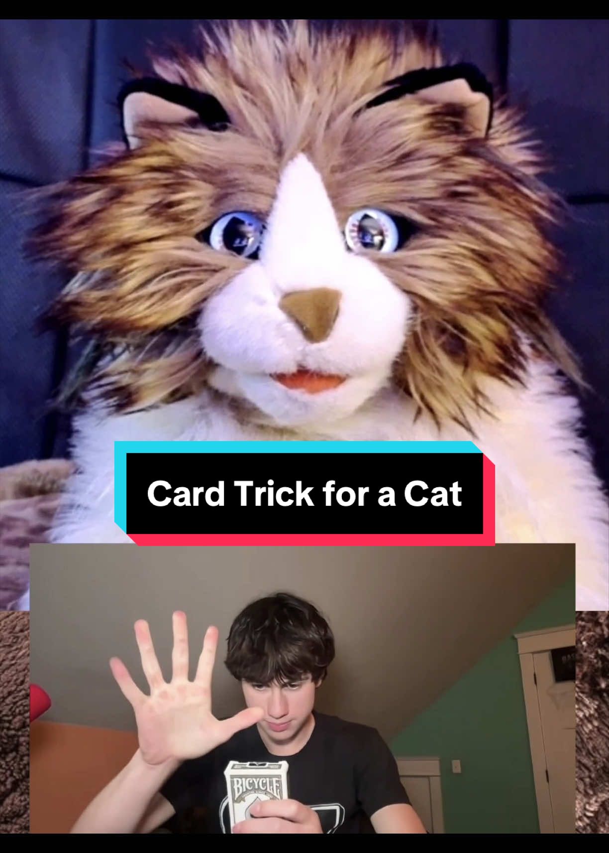 @PeterPrankster