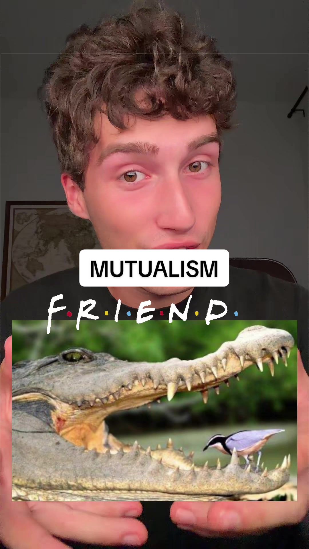 @nateate