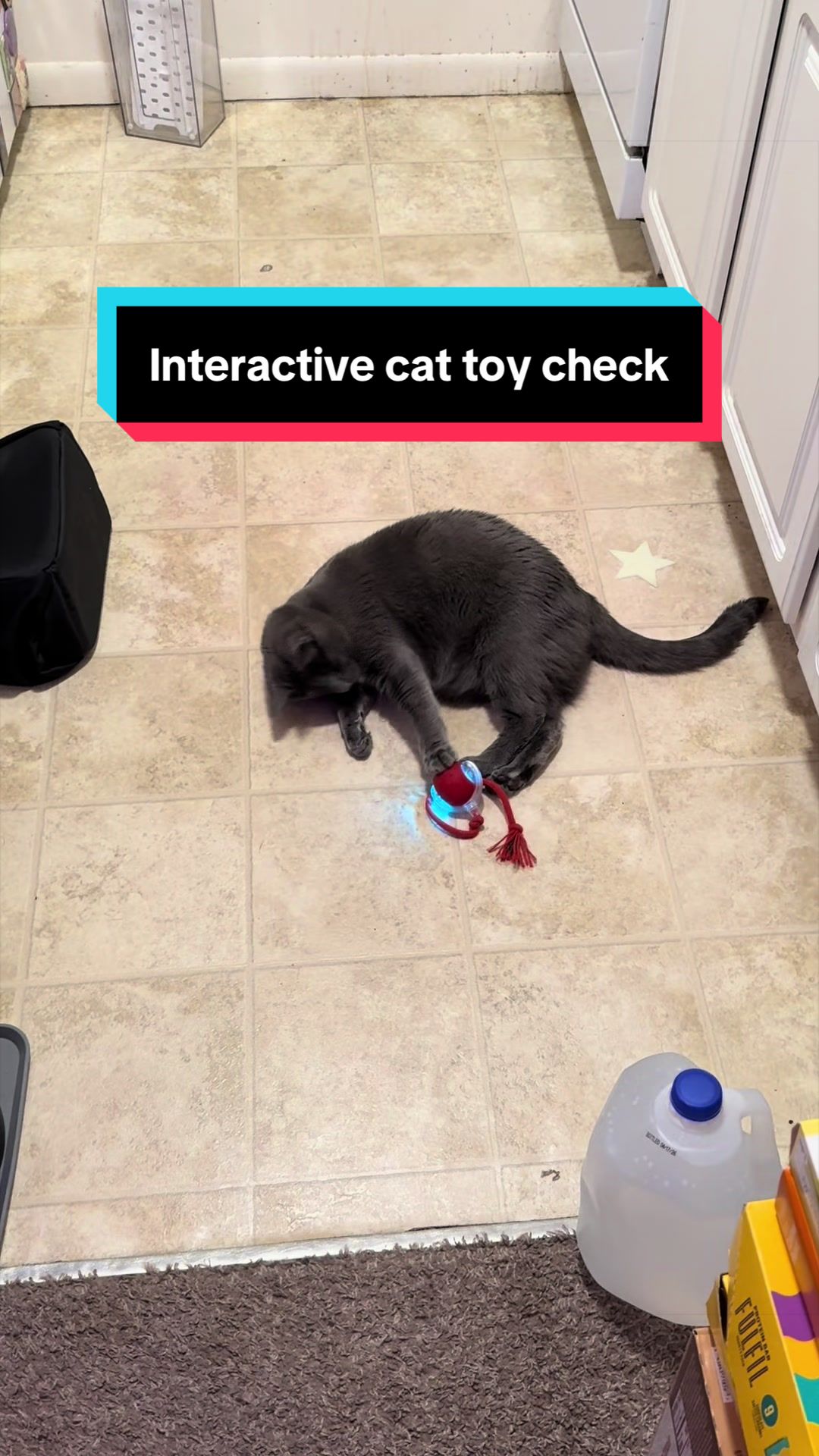 @my2blindcats