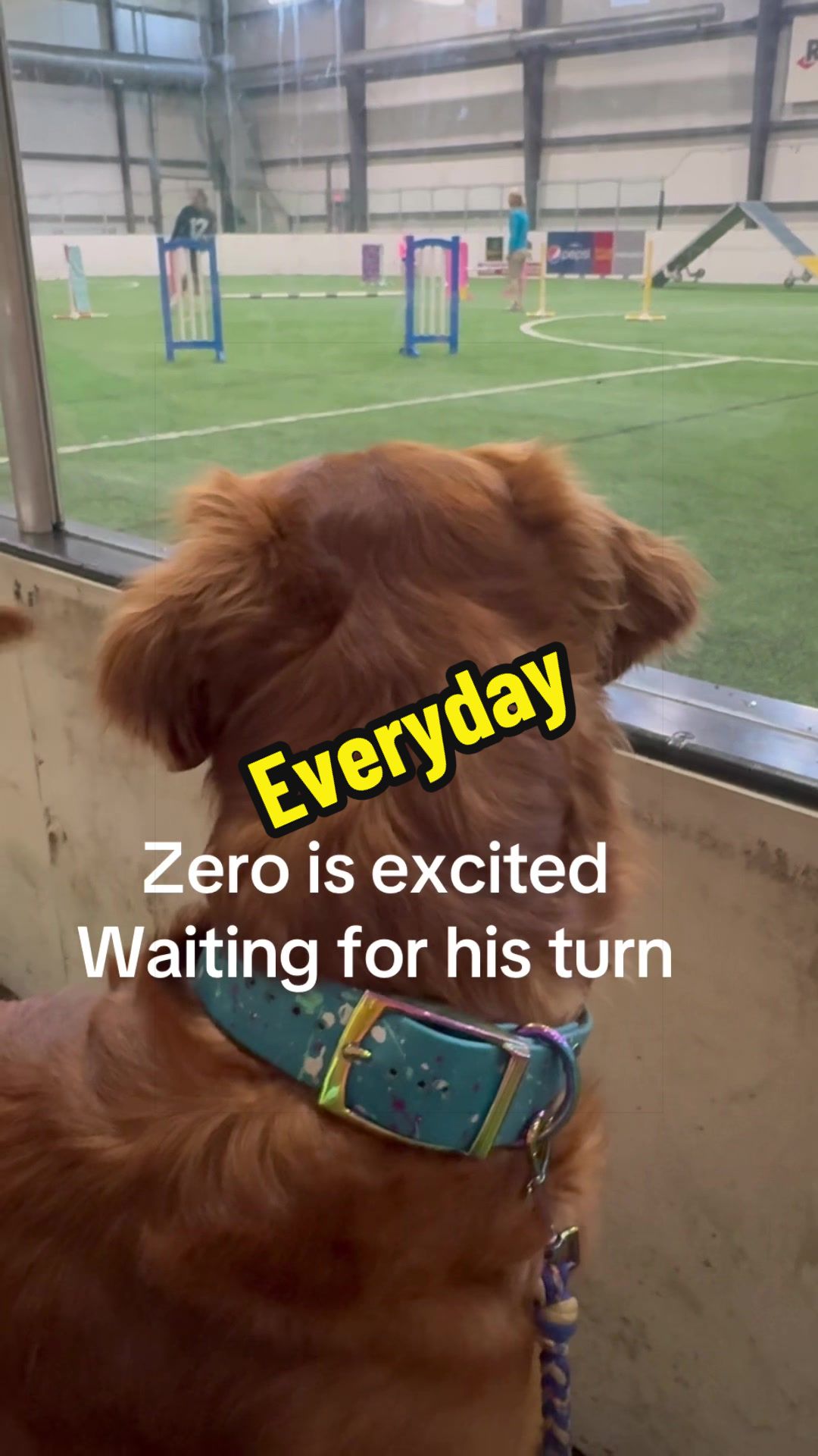 @Zero Gravity🐾