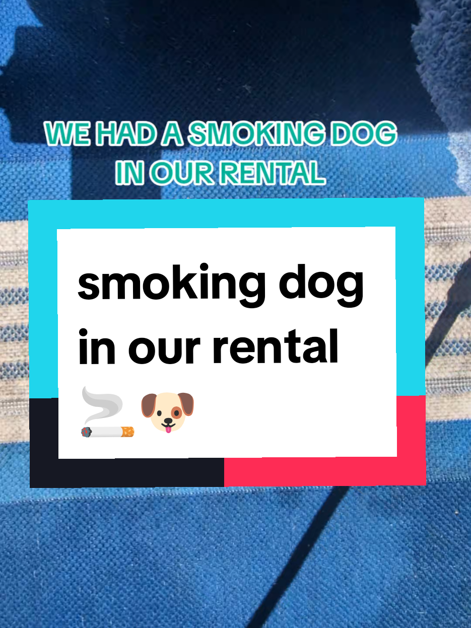 @Lianne Habets