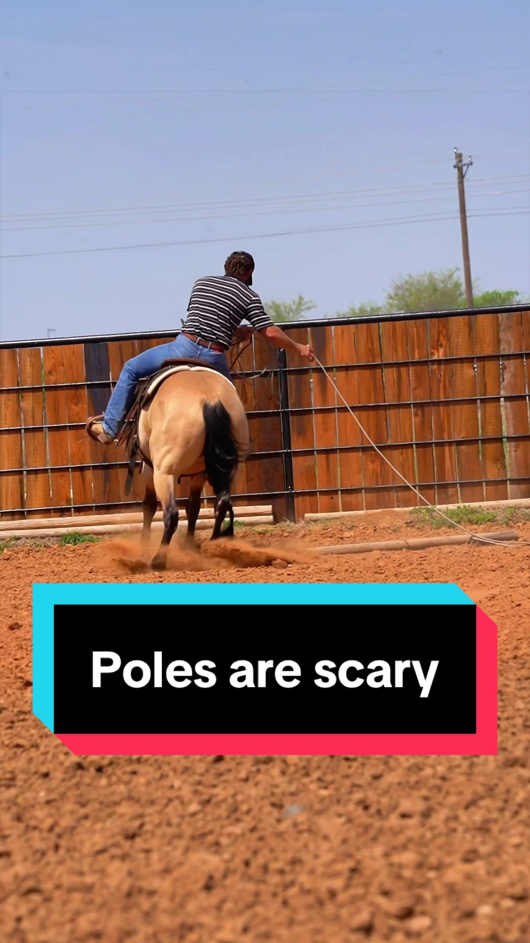 @WS Horses