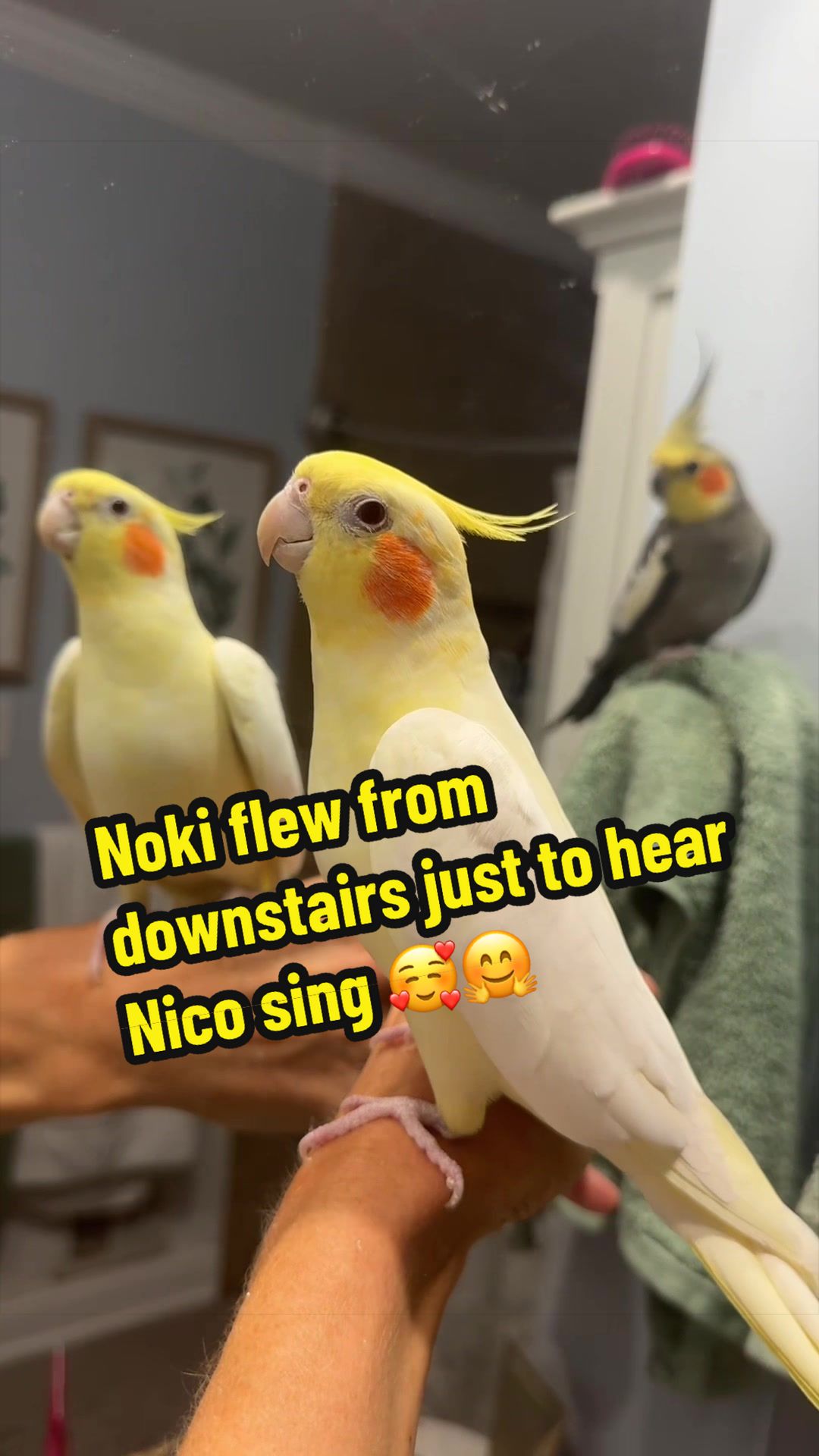 @Nico & Nari