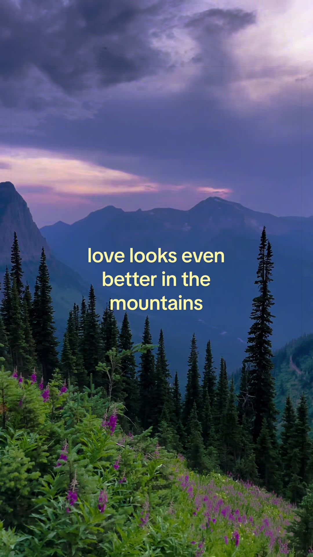 @LEX