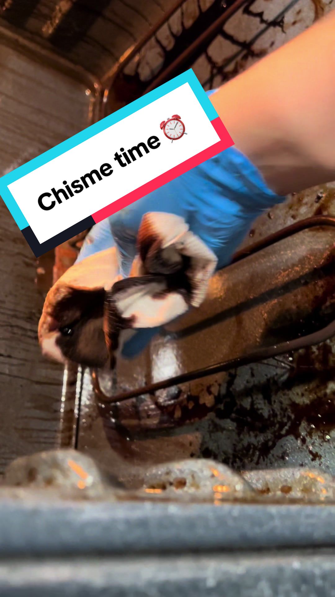 @🦋CleaNing🦋