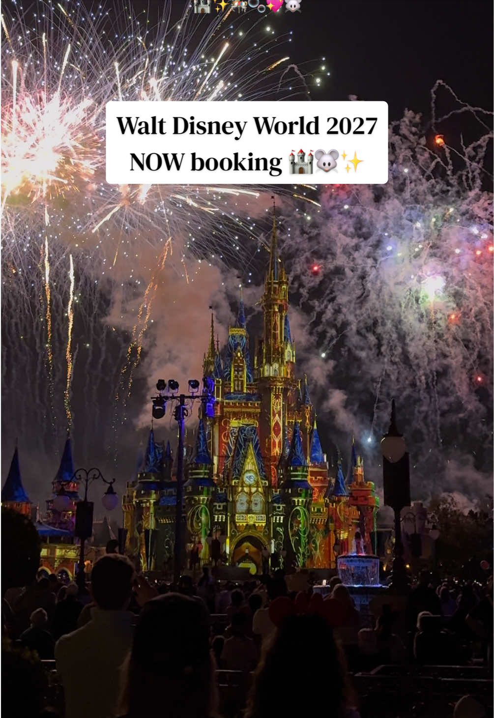 @A M B E R | Travel Agent 🏰🐭✨