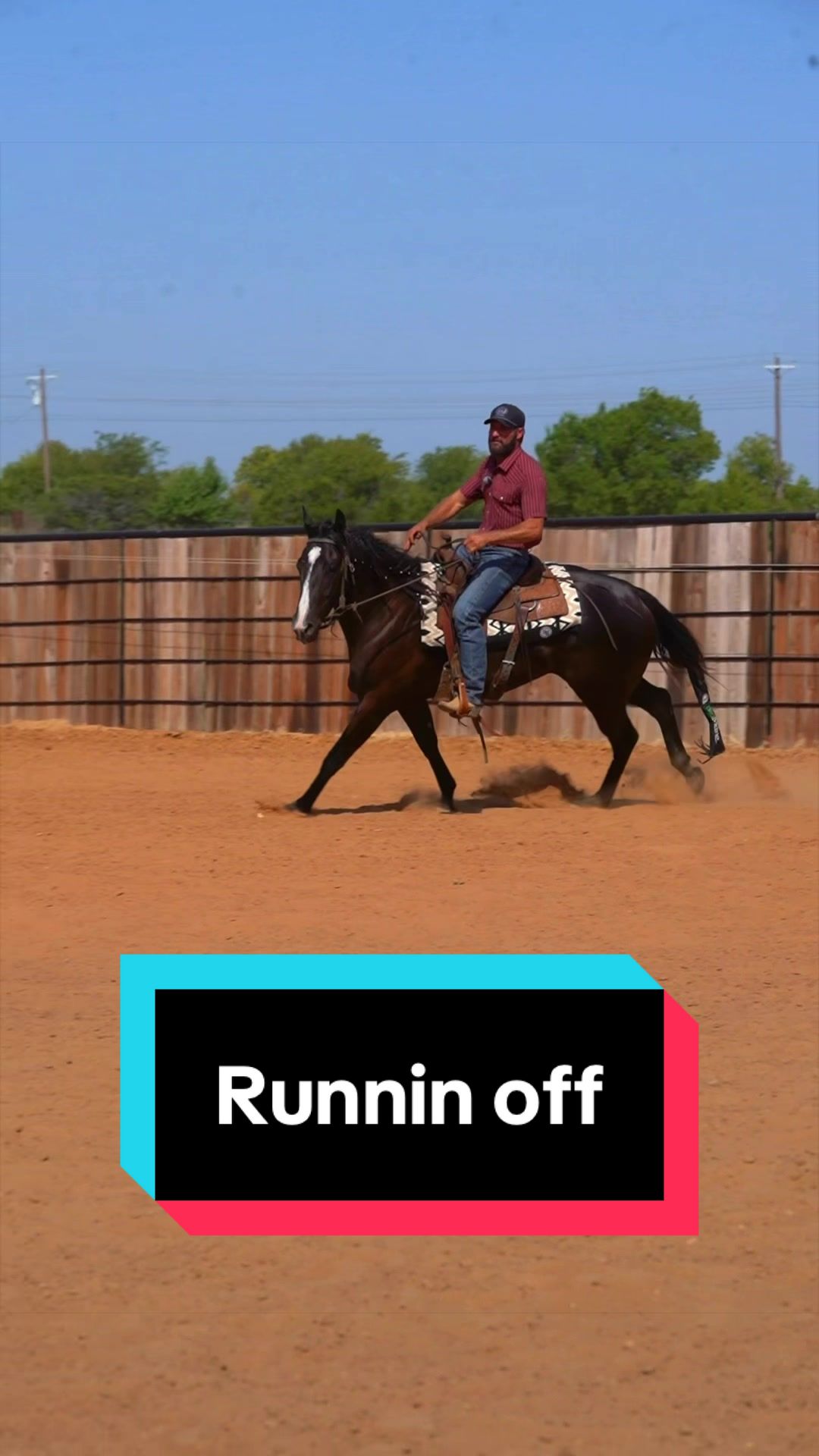 @WS Horses