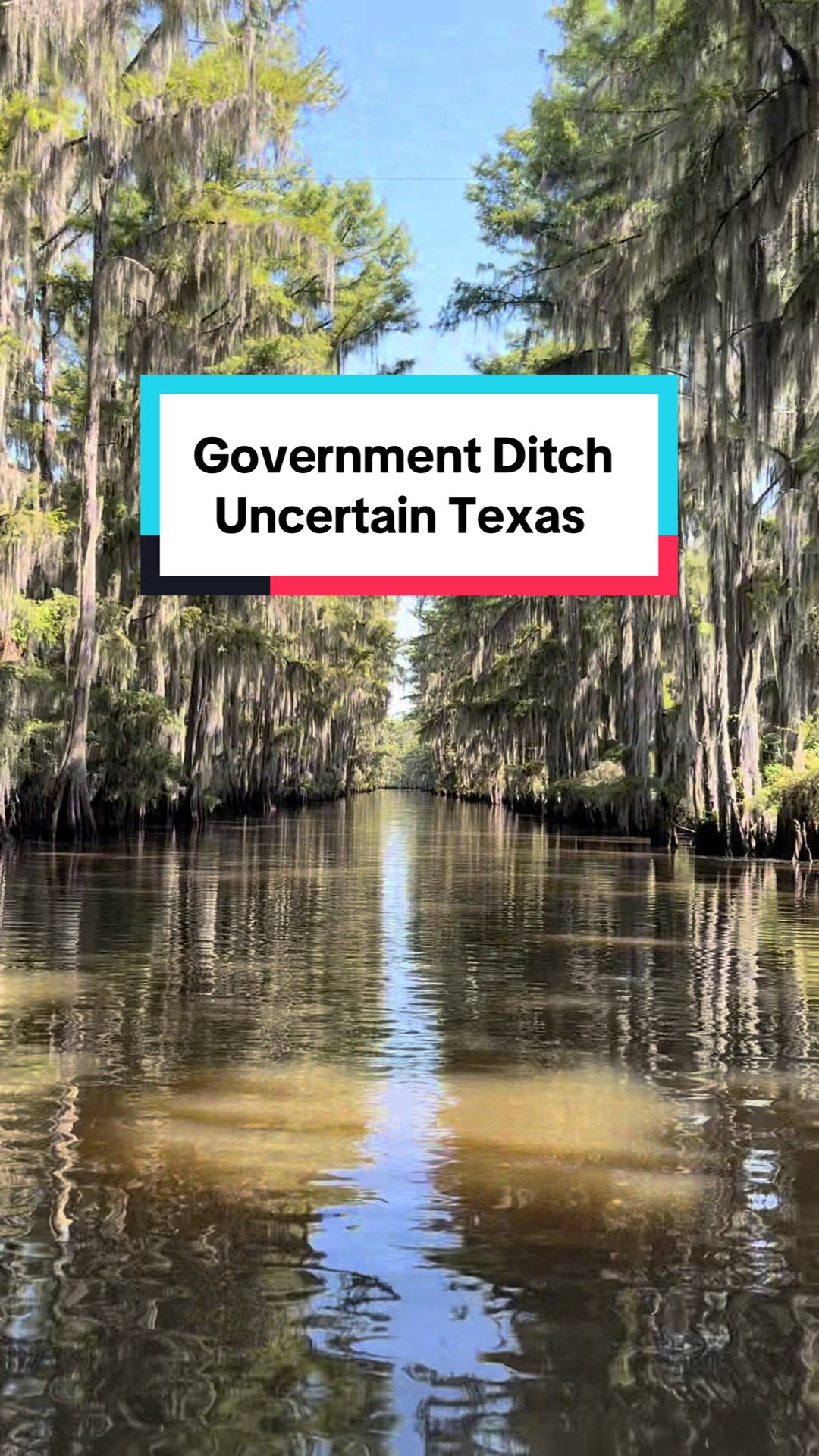 @Caddo Lake FirstCastCabin