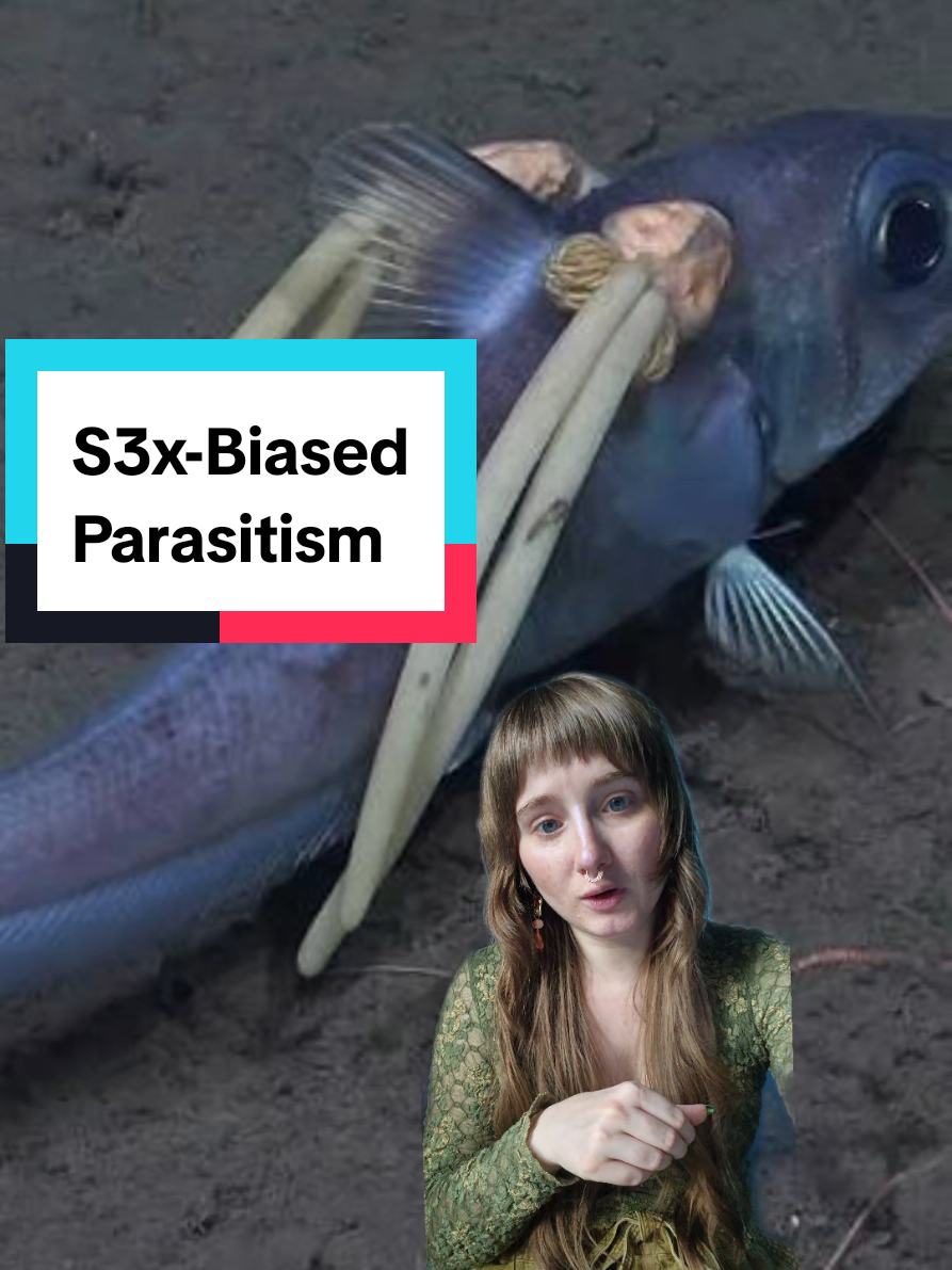 @Brooke Fitzwater, PhD
